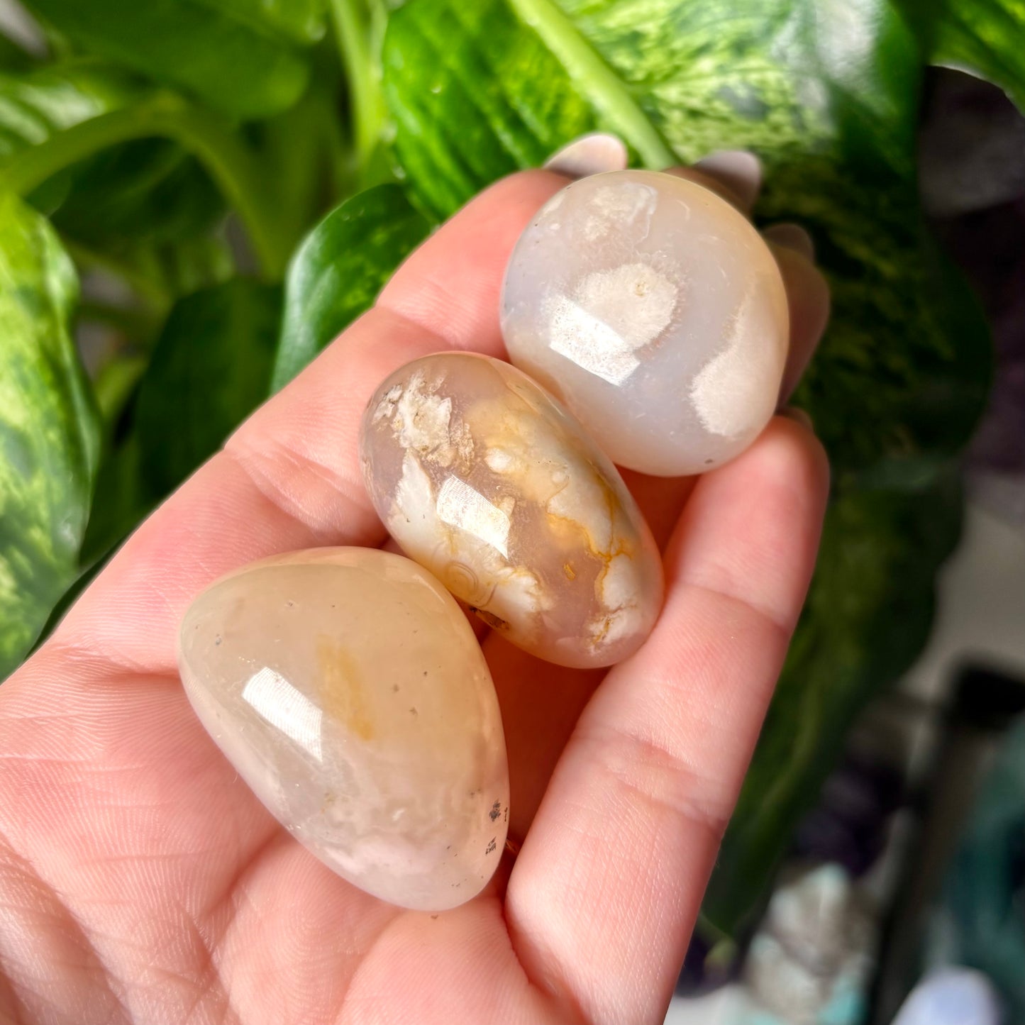 FLOWER AGATE TUMBLE