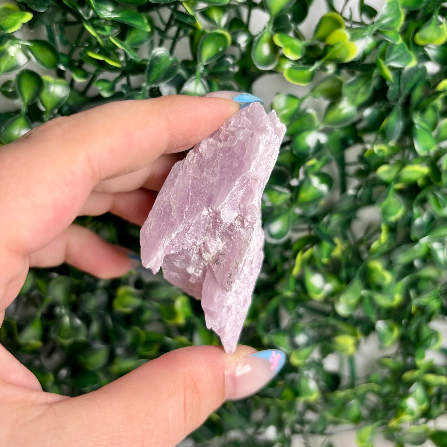RAW KUNZITE