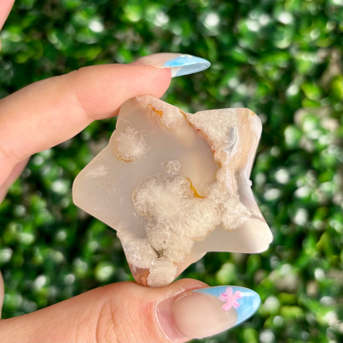 FLOWER AGATE STARS