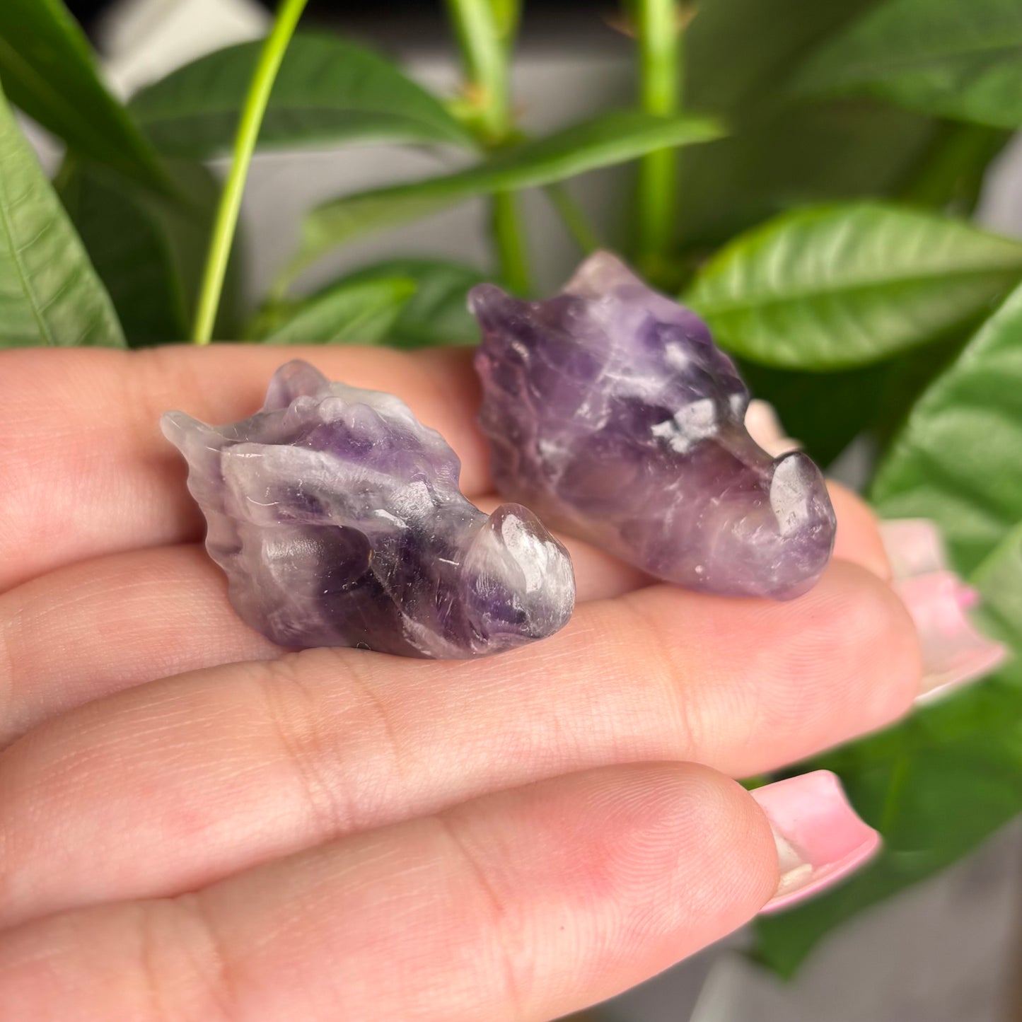 AMETHYST DRAGON