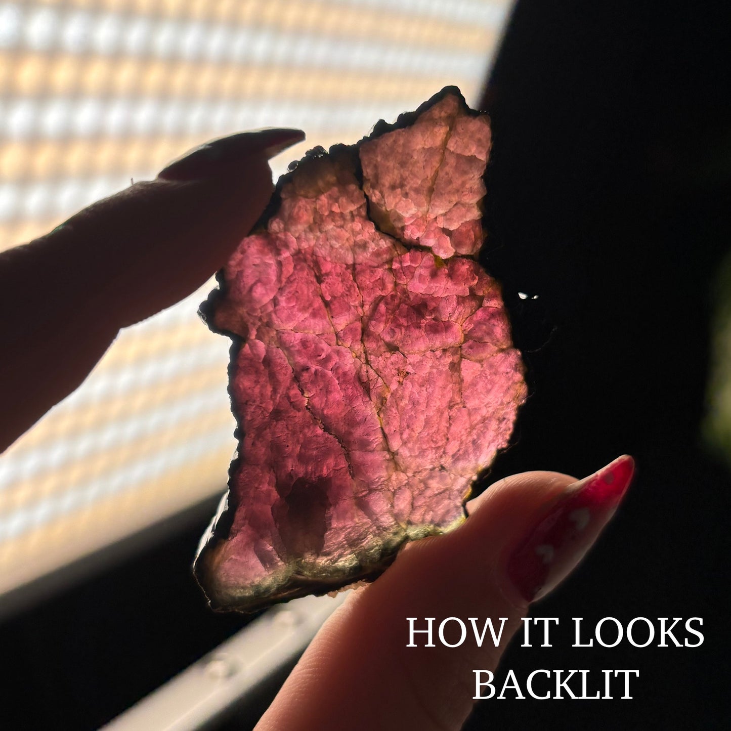 WATERMELON TOURMALINE SLICE