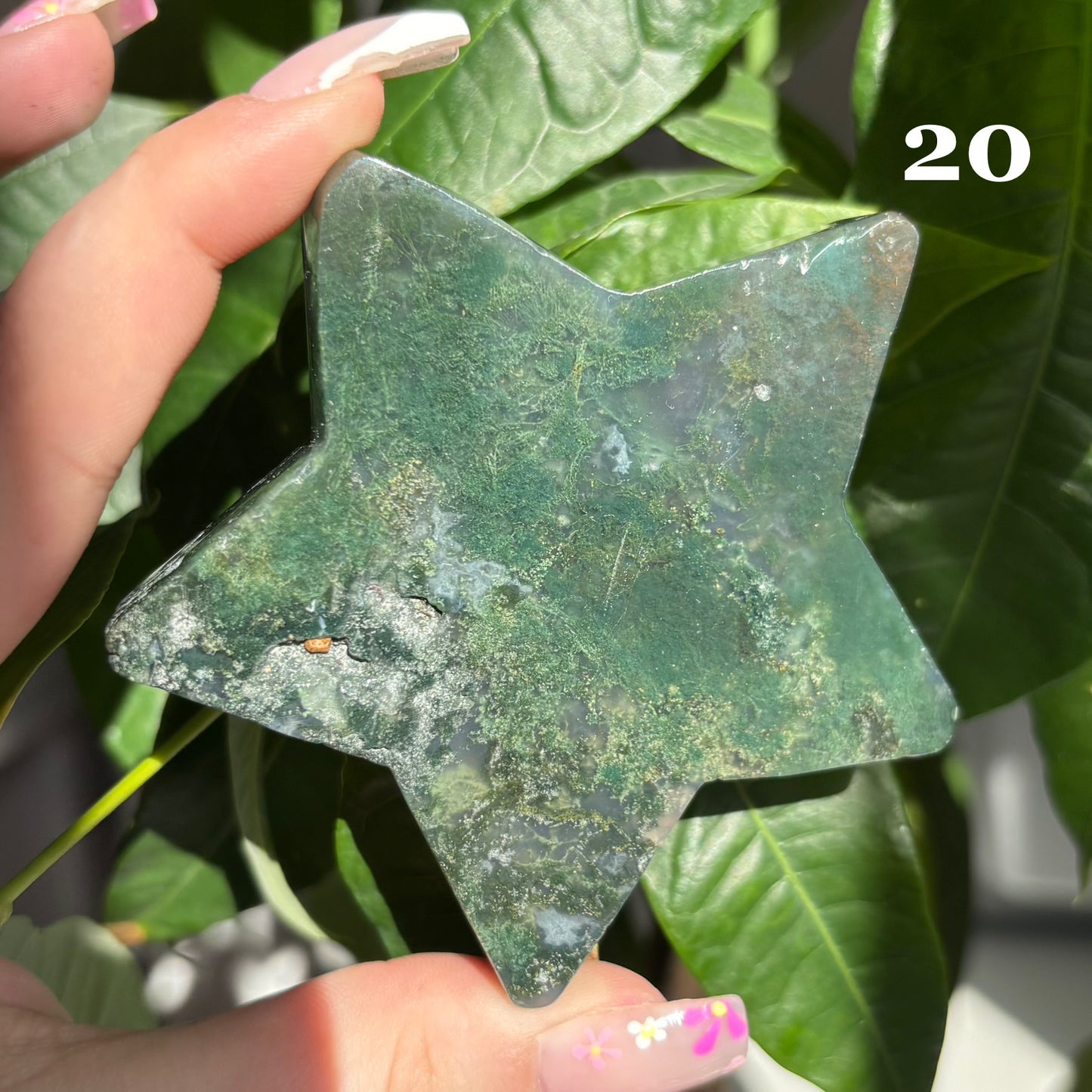 MOSS AGATE STARS