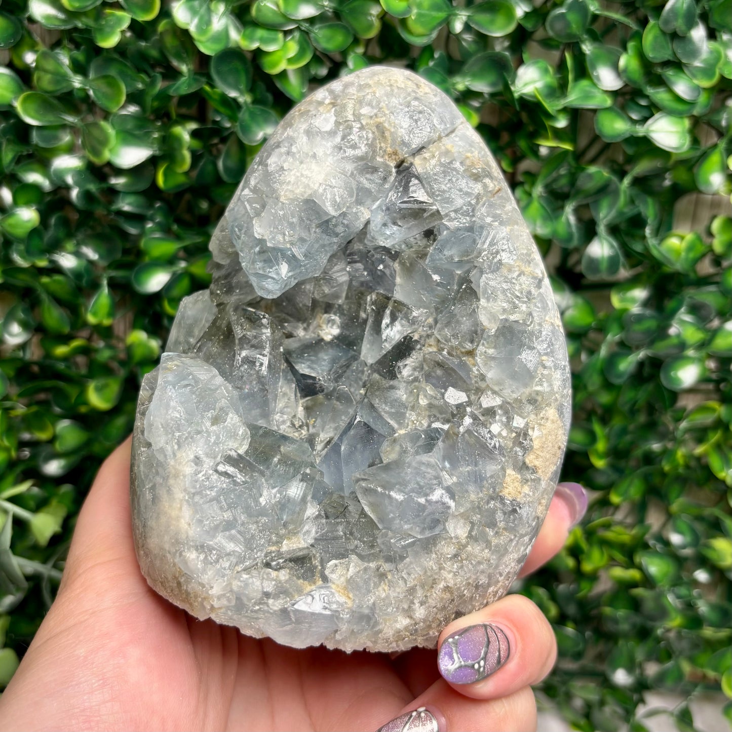 CELESTITE FREEFORMS