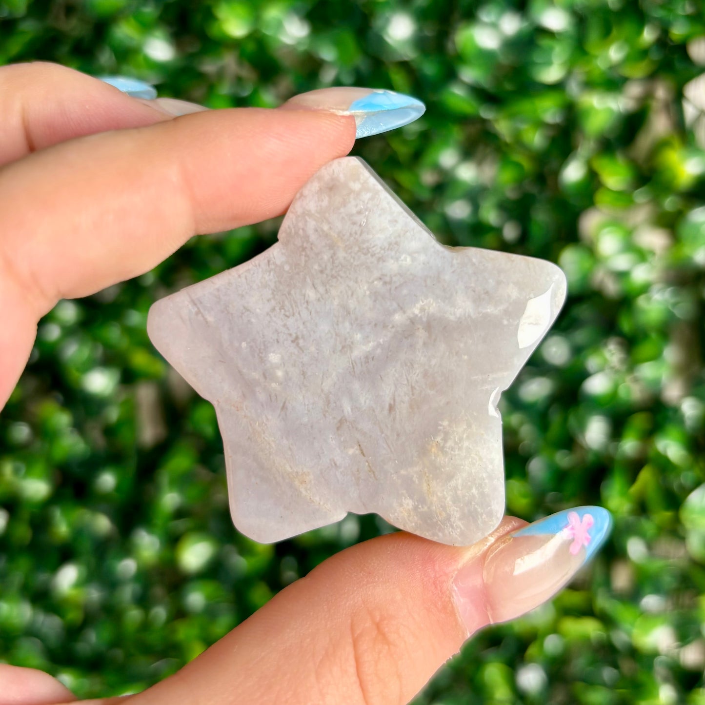 FLOWER AGATE STARS