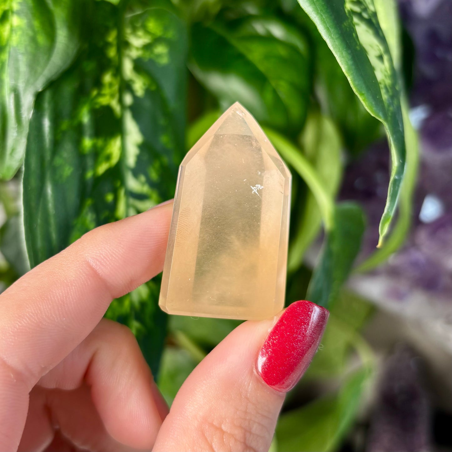 AMPHIBOLE QUARTZ TOWERS