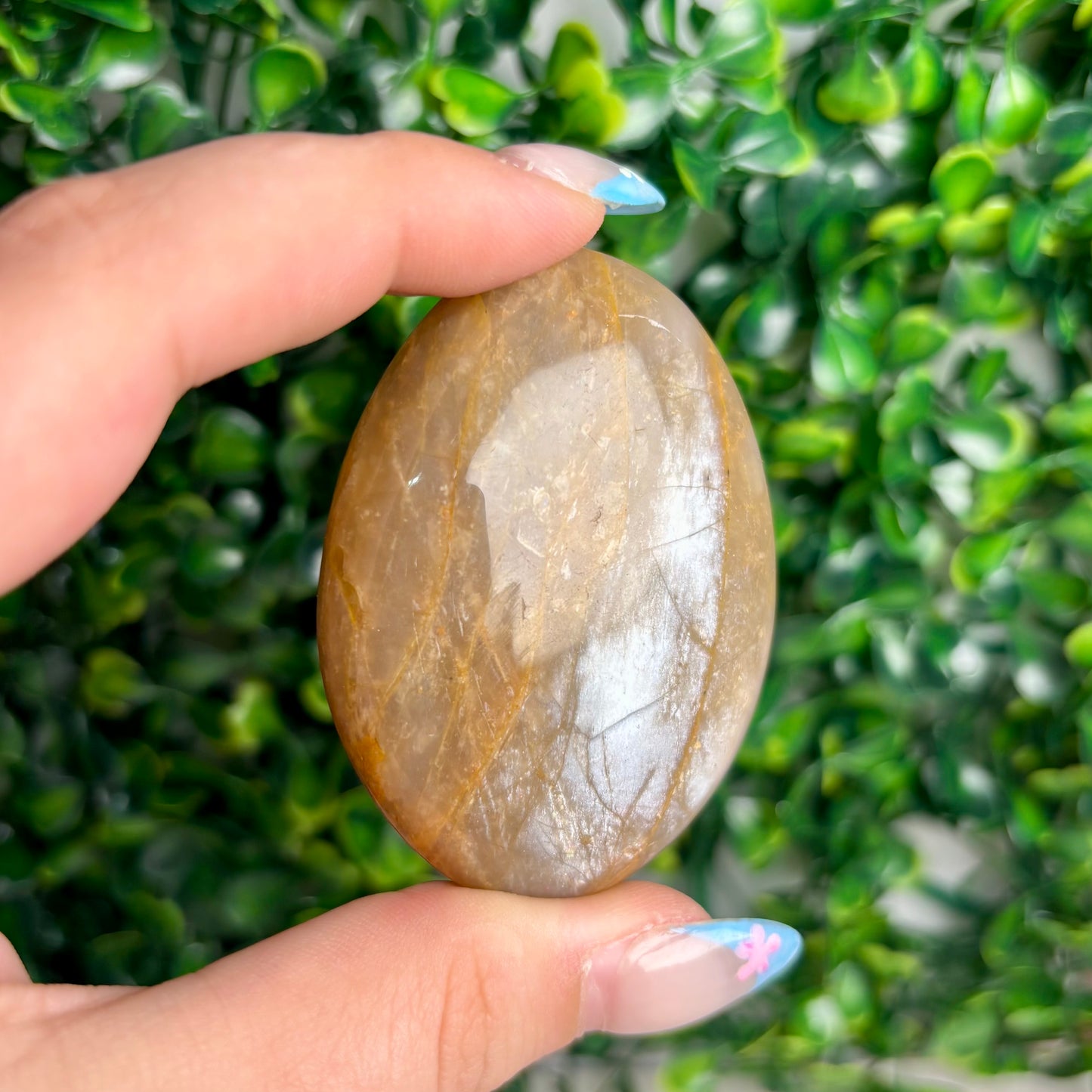 SUNSTONE/MOONSTONE PALMSTONES