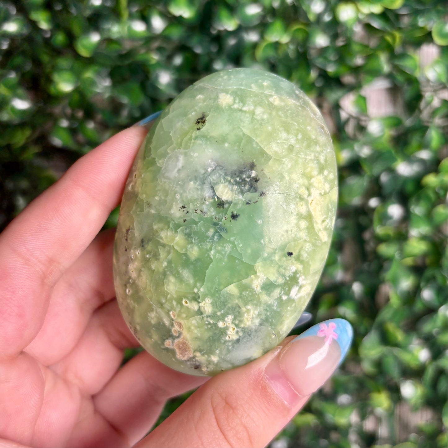 GREEN CHRYSOPASE PALMSTONES
