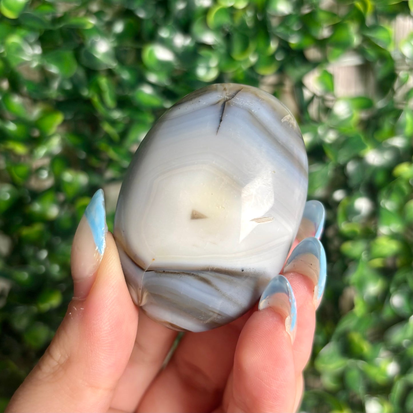 DENDRITIC AGATE PALMSTONES