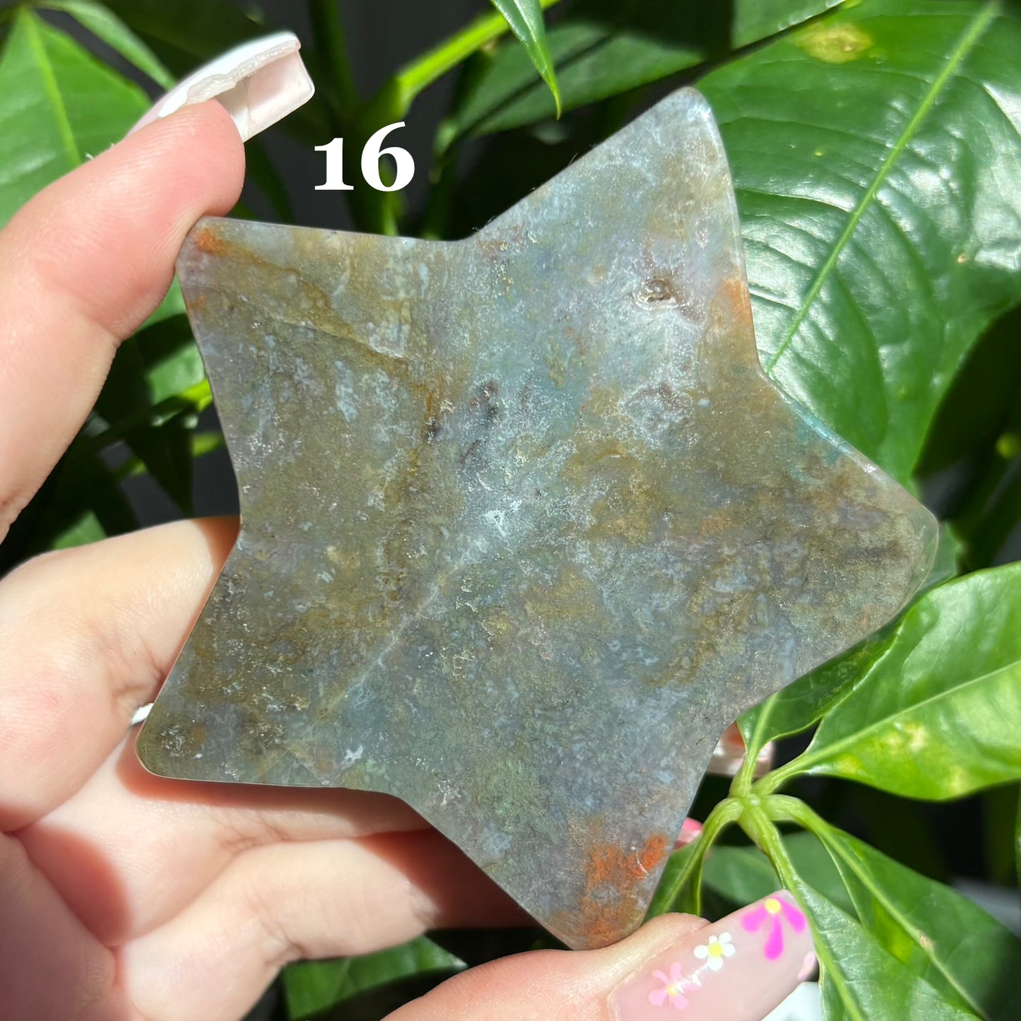 MOSS AGATE STARS