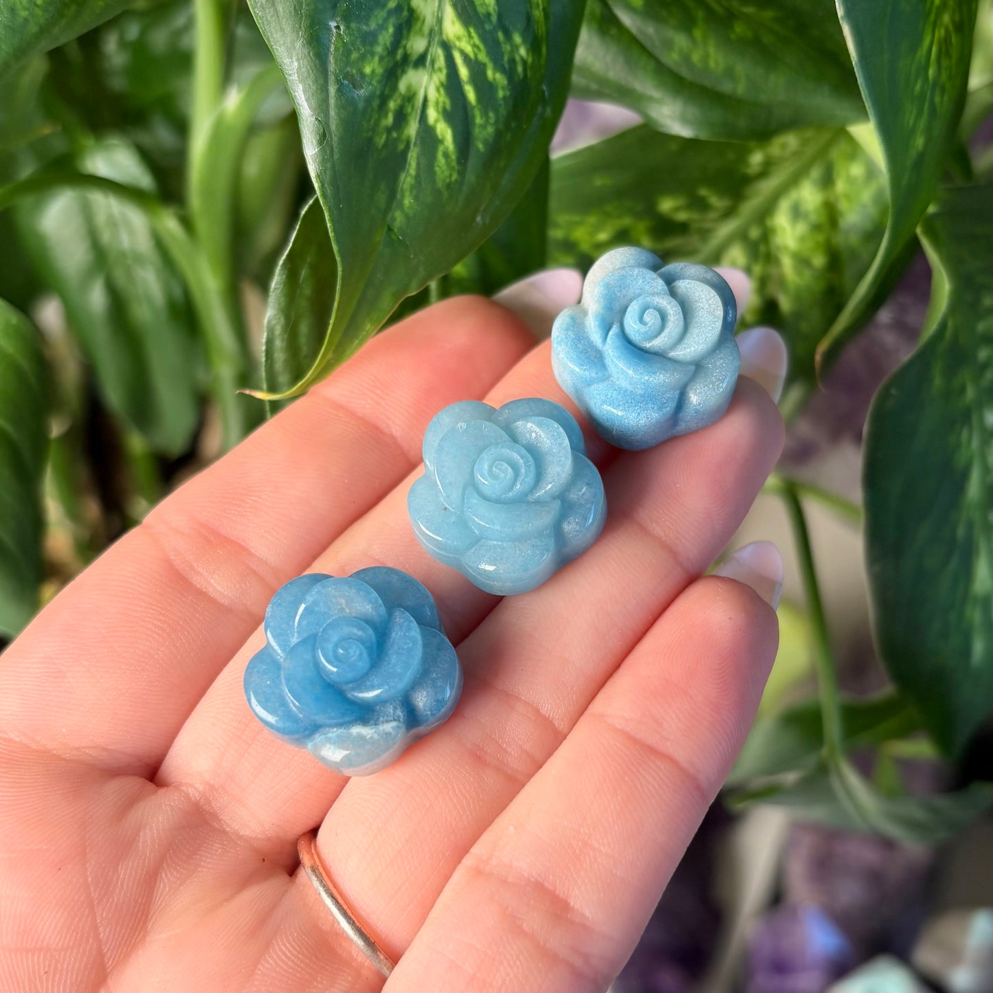TROLLEITE FLOWER