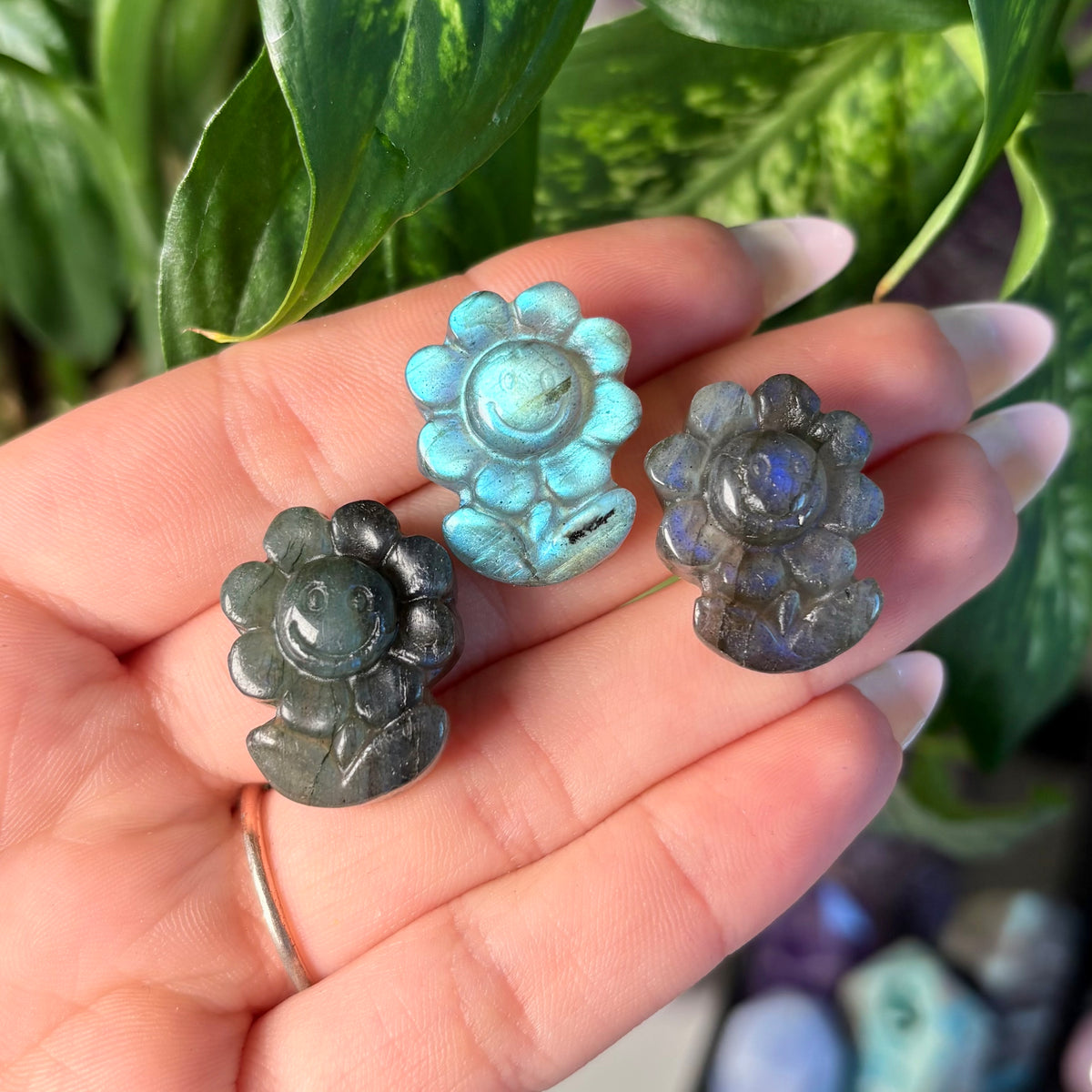 LABRADORITE SUNFLOWER