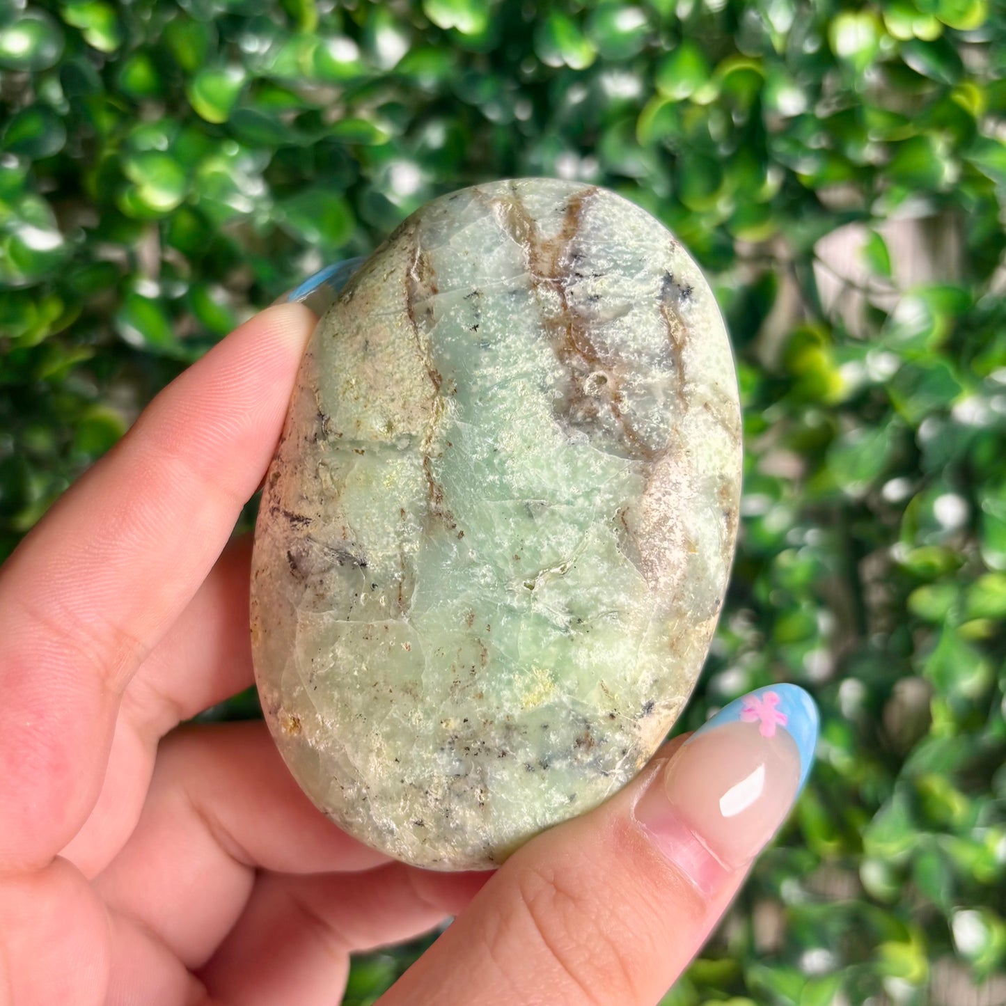 GREEN CHRYSOPASE PALMSTONES