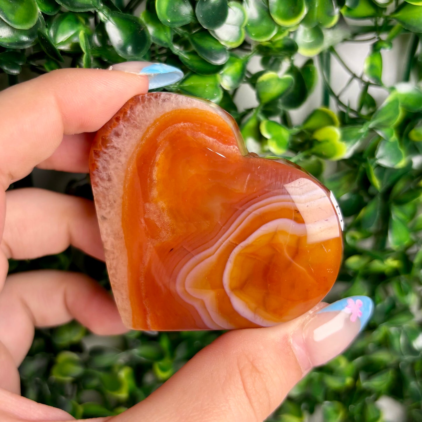 CARNELIAN HEARTS