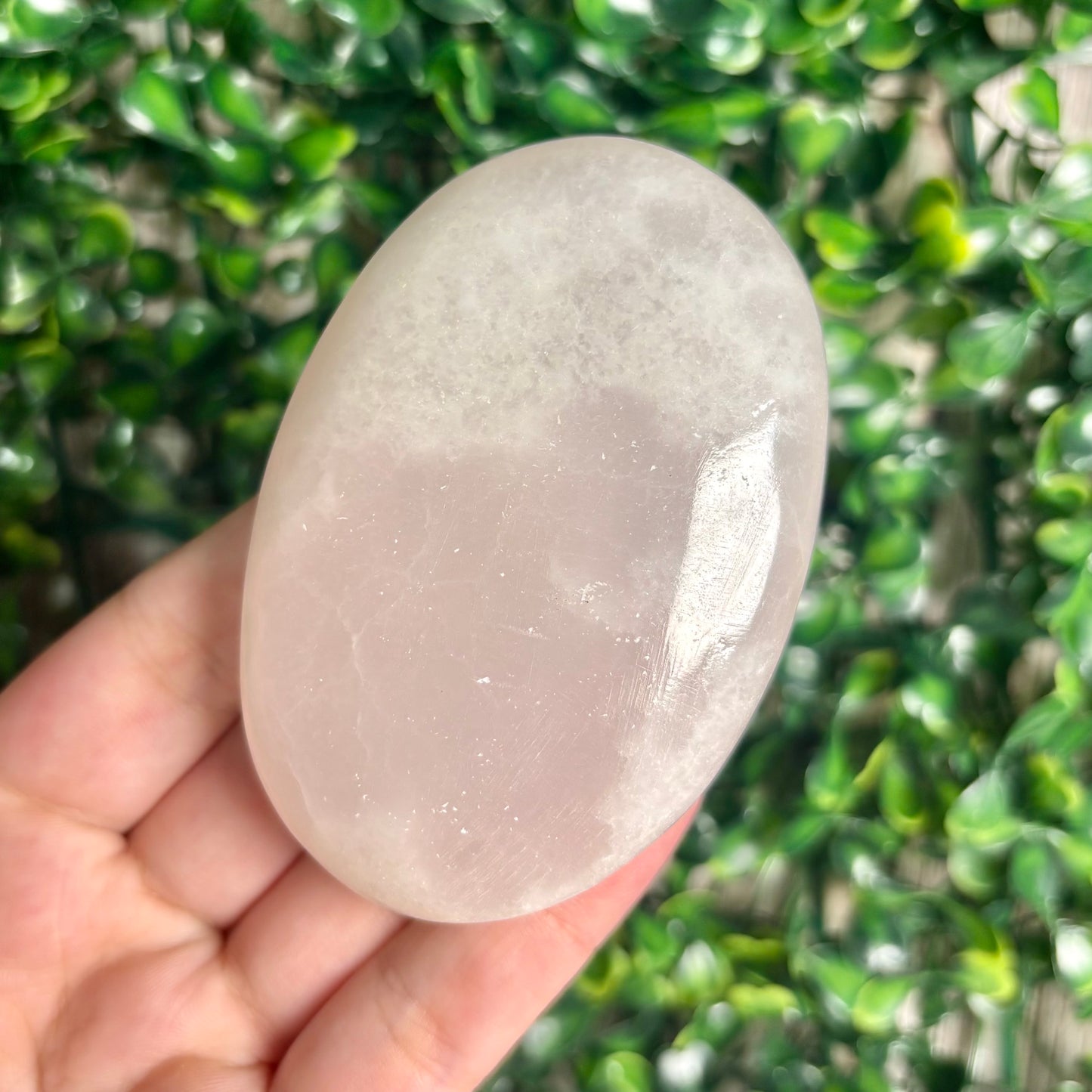 PINK MANGANO CALCITE PALMSTONES