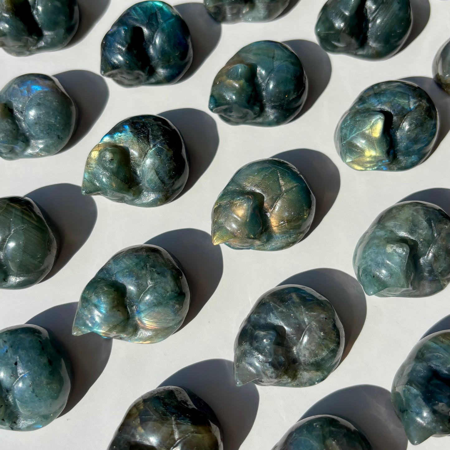 LABRADORITE CAT