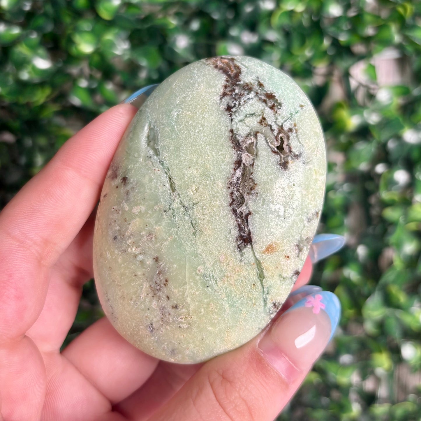 GREEN CHRYSOPASE PALMSTONES