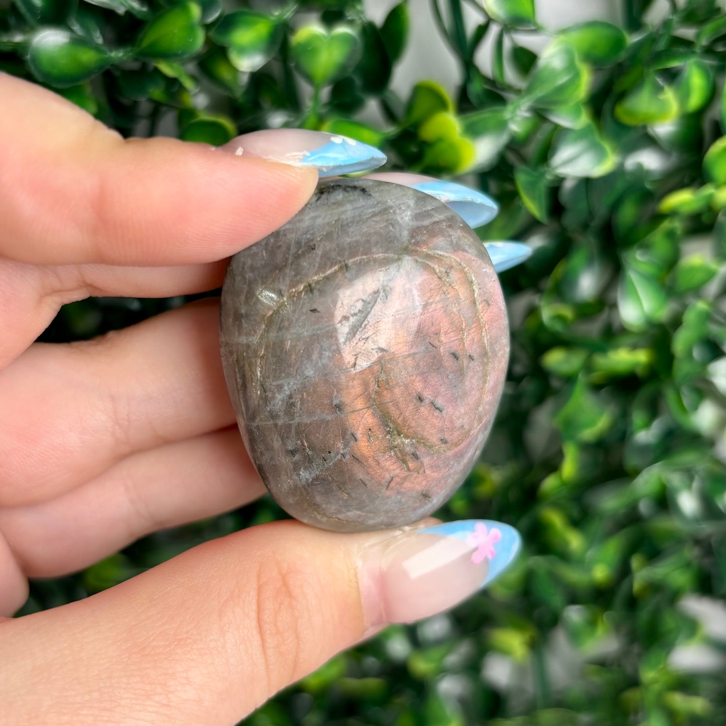 LABRADORITE PALMSTONES