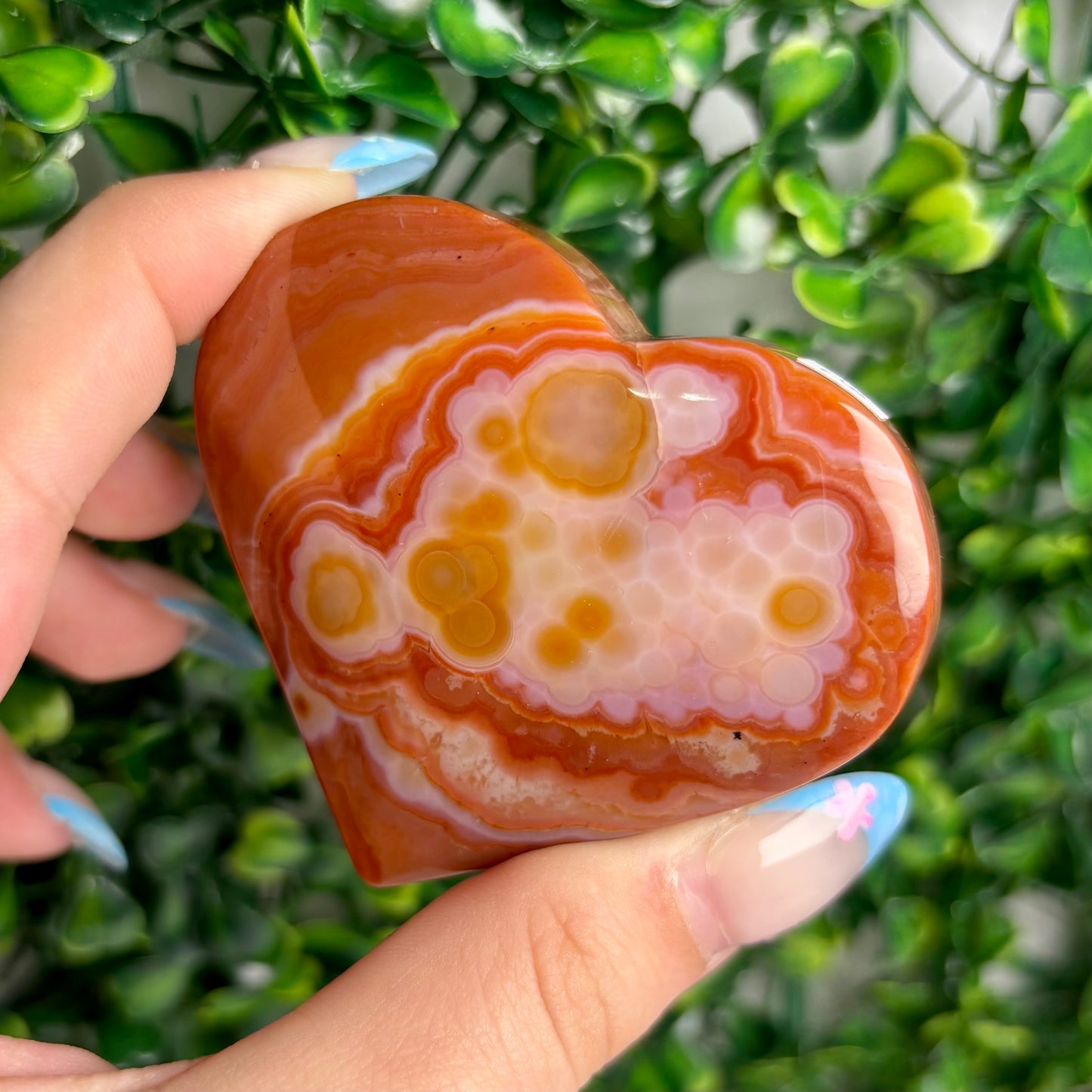 CARNELIAN HEARTS