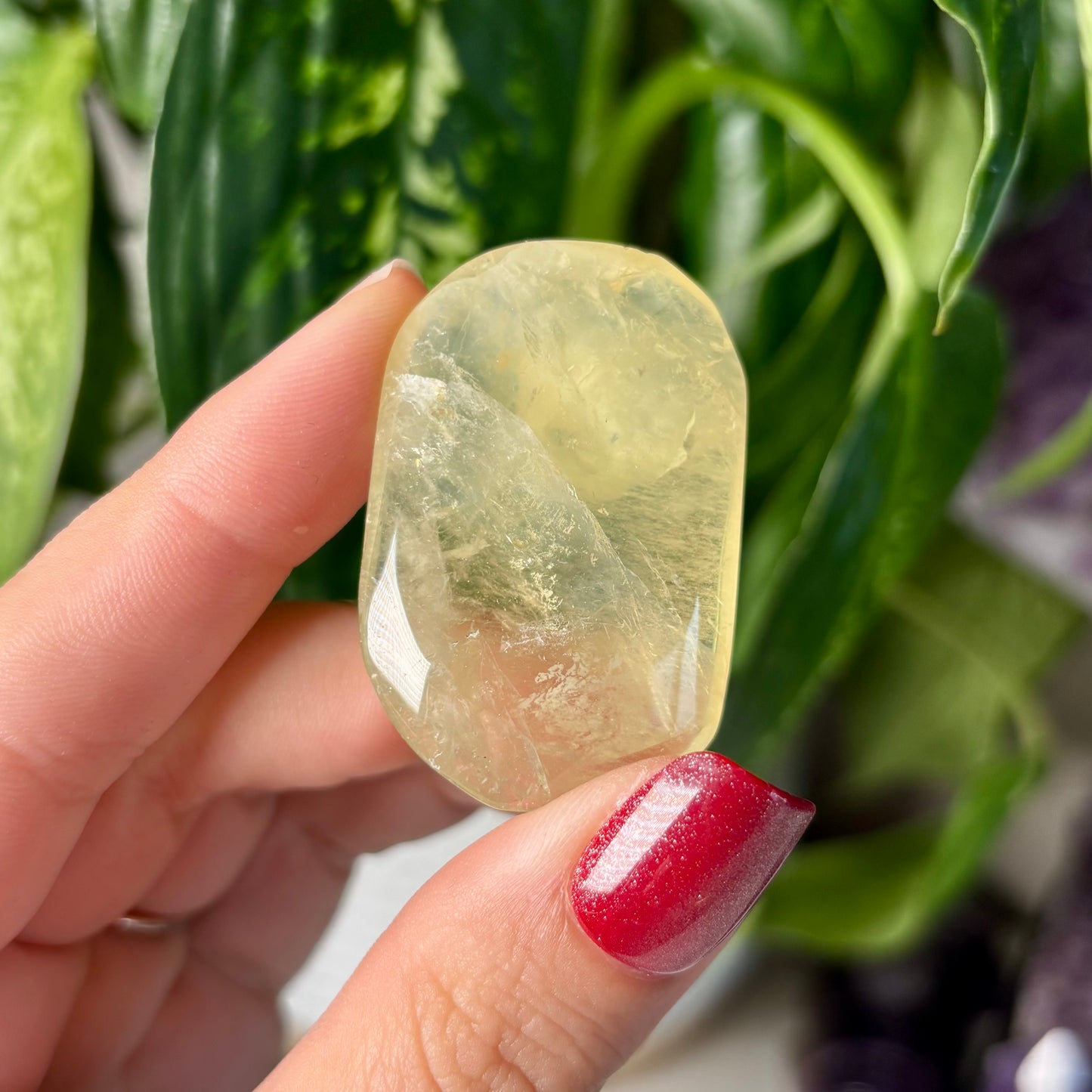 CITRINE PALMSTONES