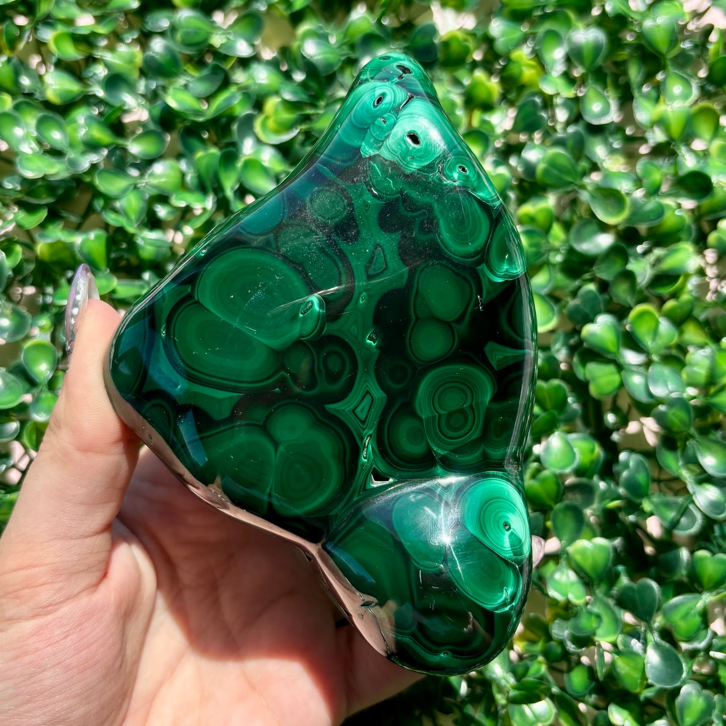 MALACHITE FREEFORMS
