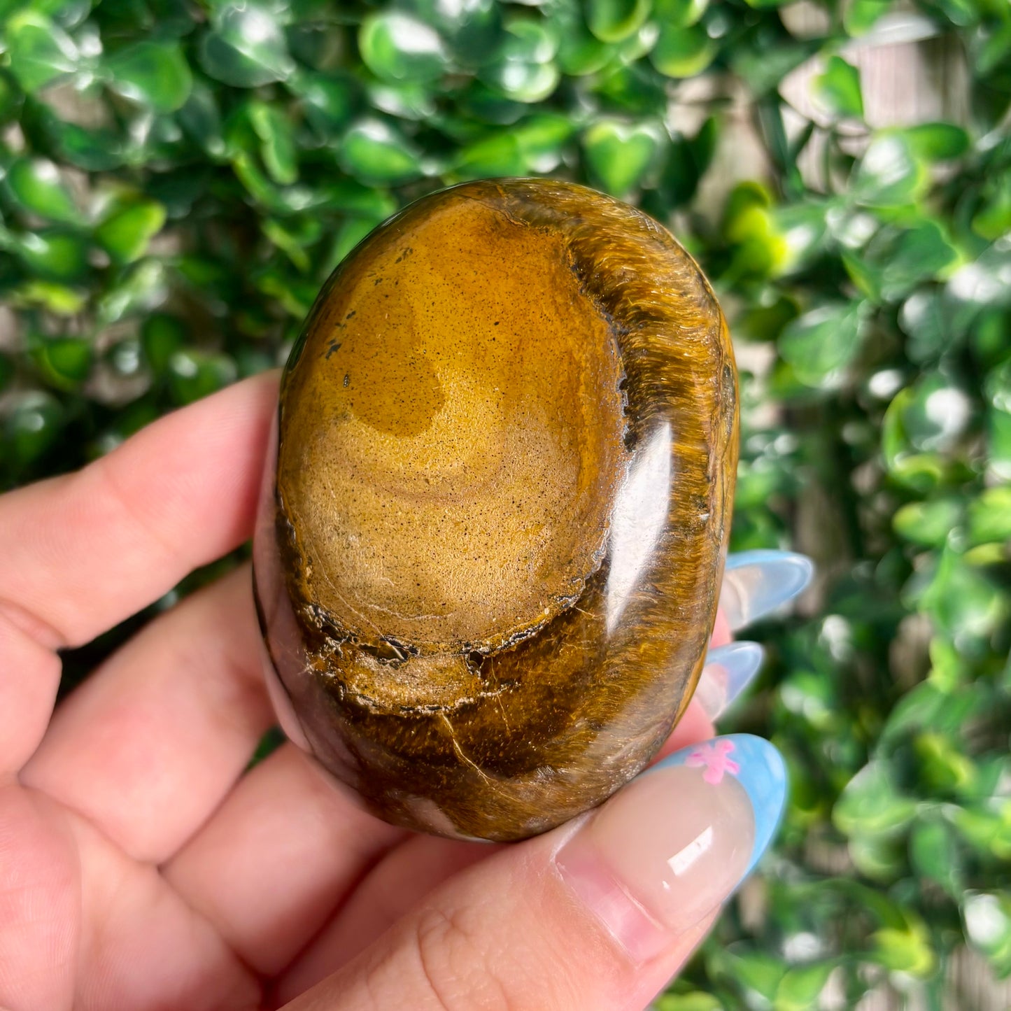 TIGERS EYE PALMSTONES
