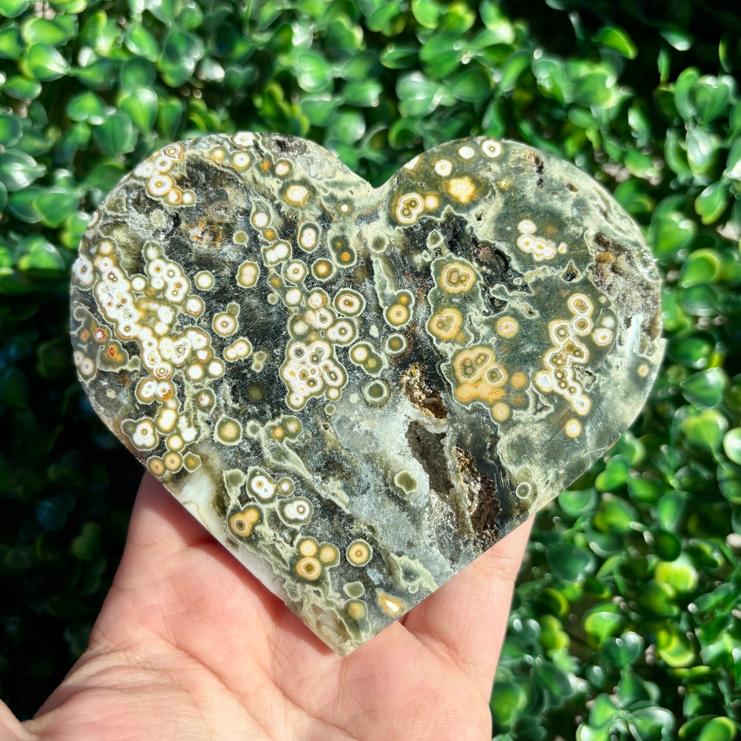 8TH VEIN OCEAN JASPER HEART