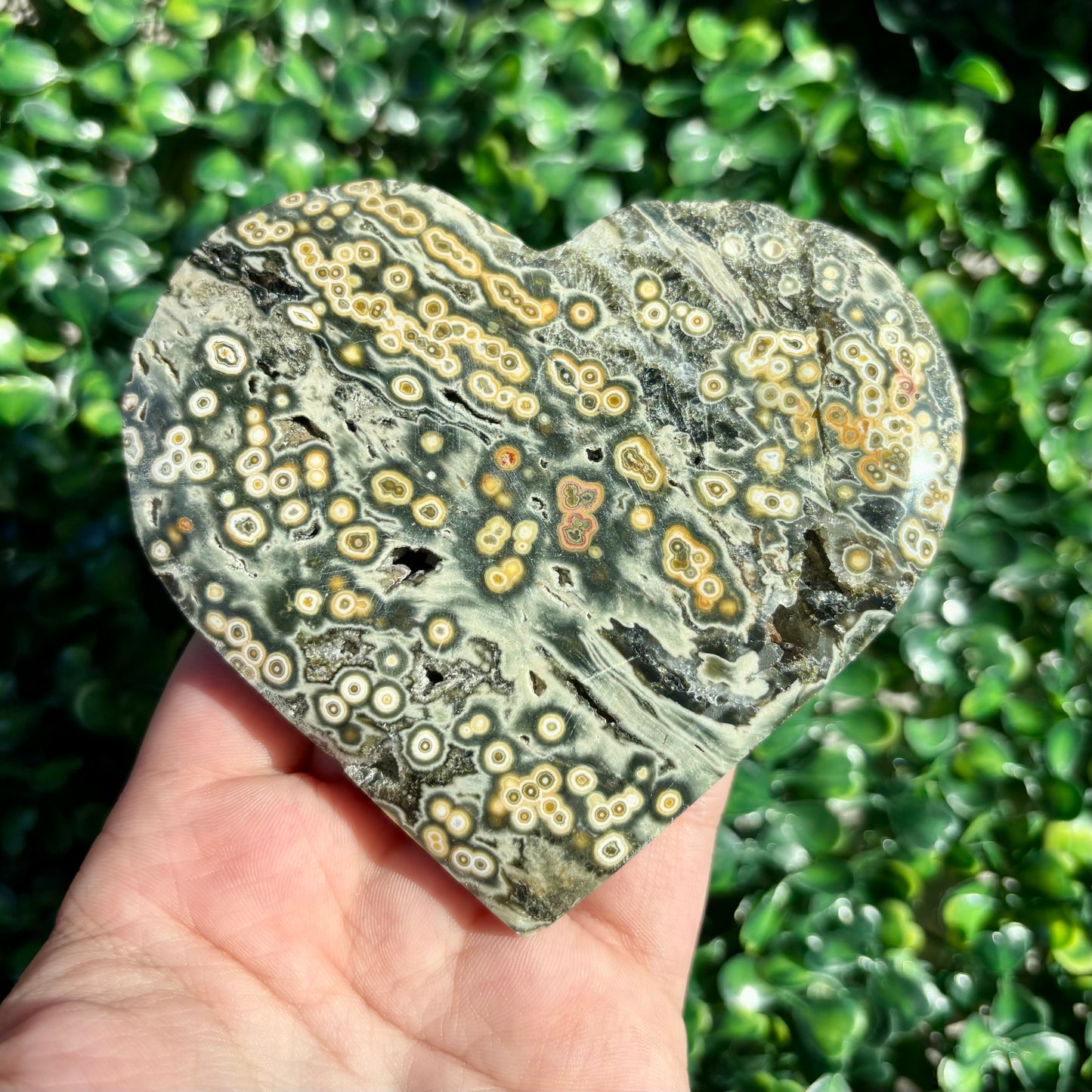 8TH VEIN OCEAN JASPER HEART