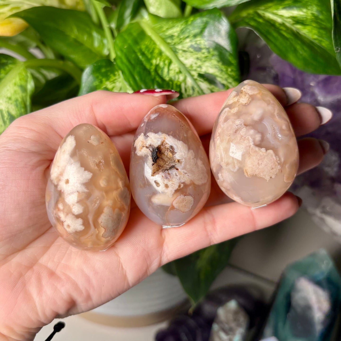 FLOWER AGATE EGGS