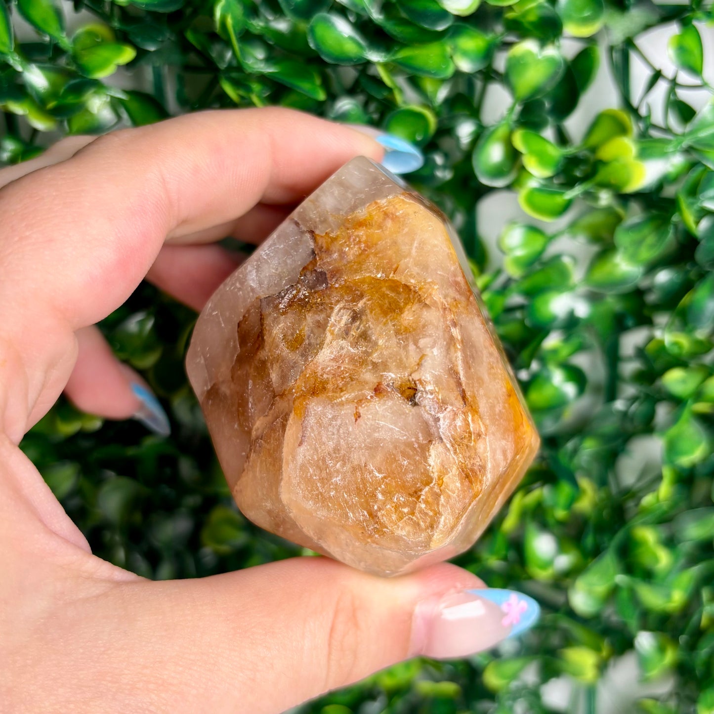 GOLDEN HEALER GUSHERS