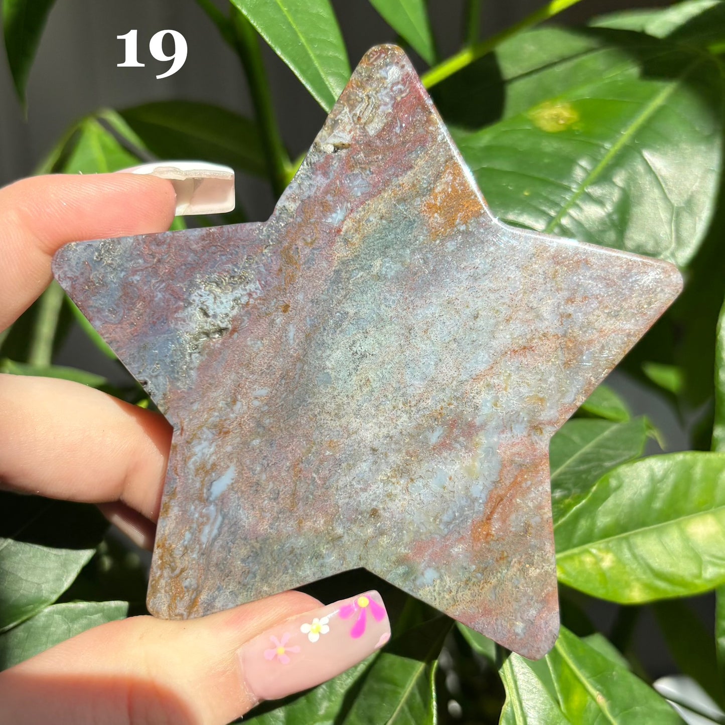 MOSS AGATE STARS