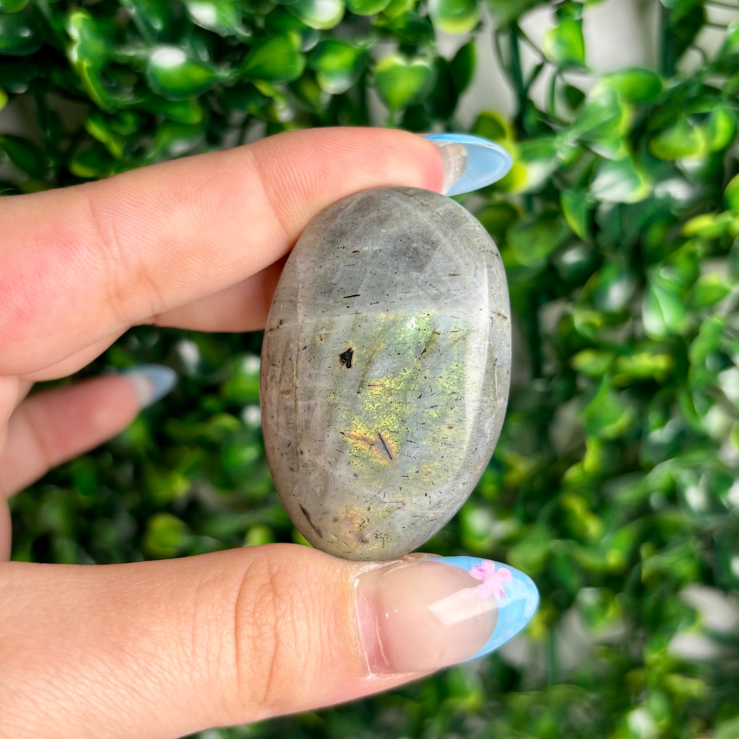 LABRADORITE PALMSTONES