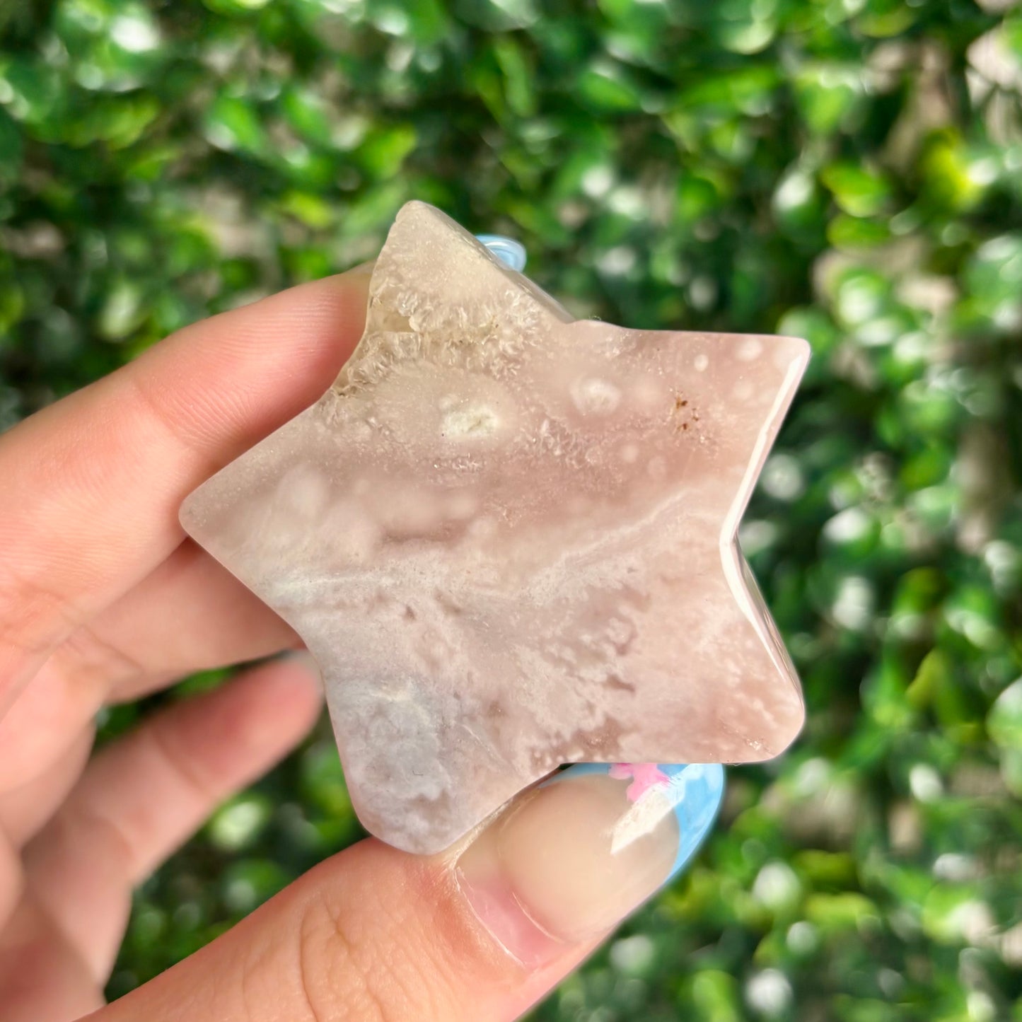 FLOWER AGATE STARS