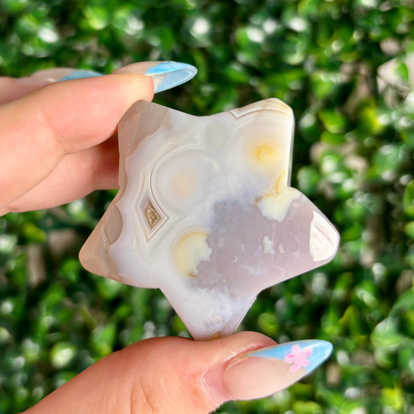 FLOWER AGATE STARS