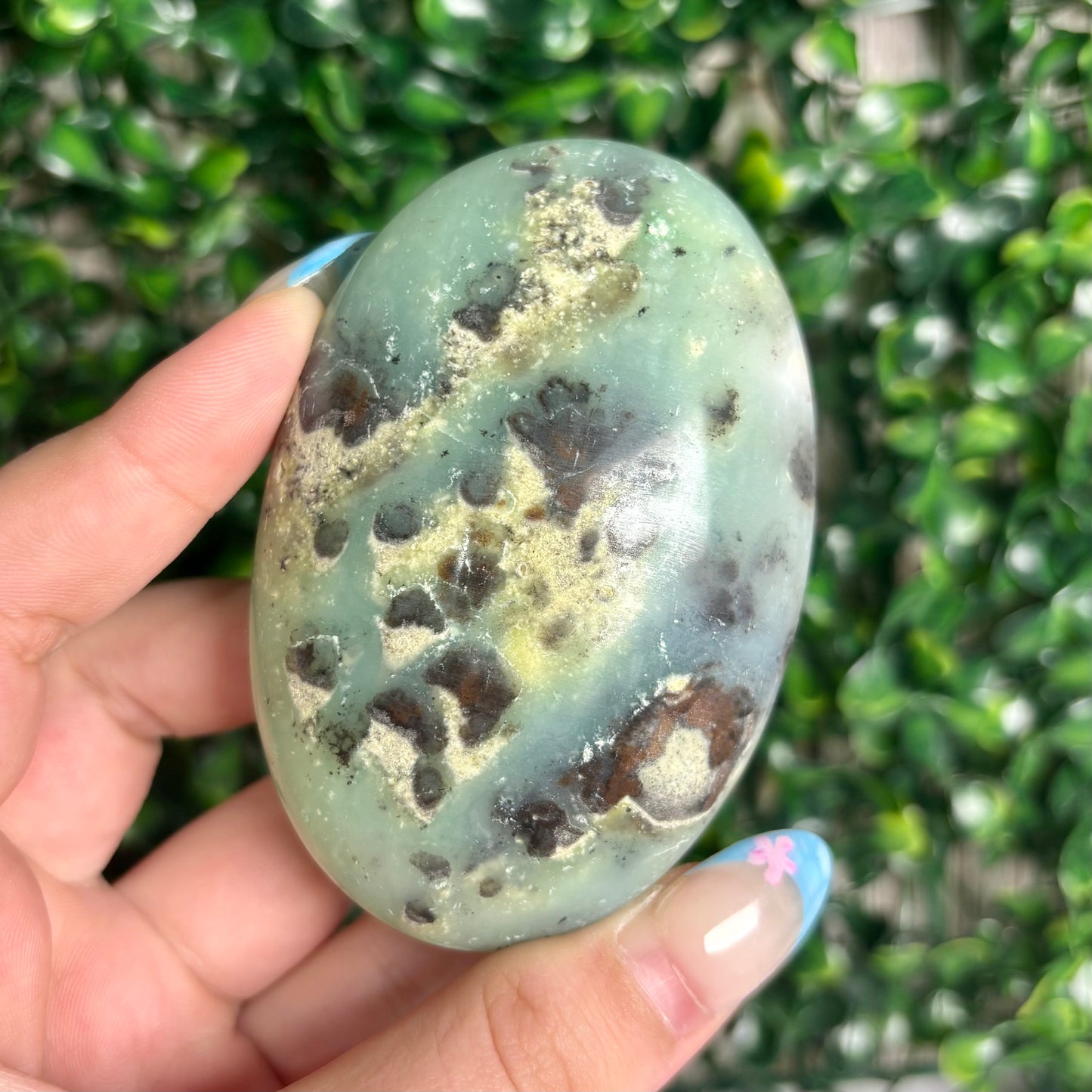 GREEN CHRYSOPASE PALMSTONES