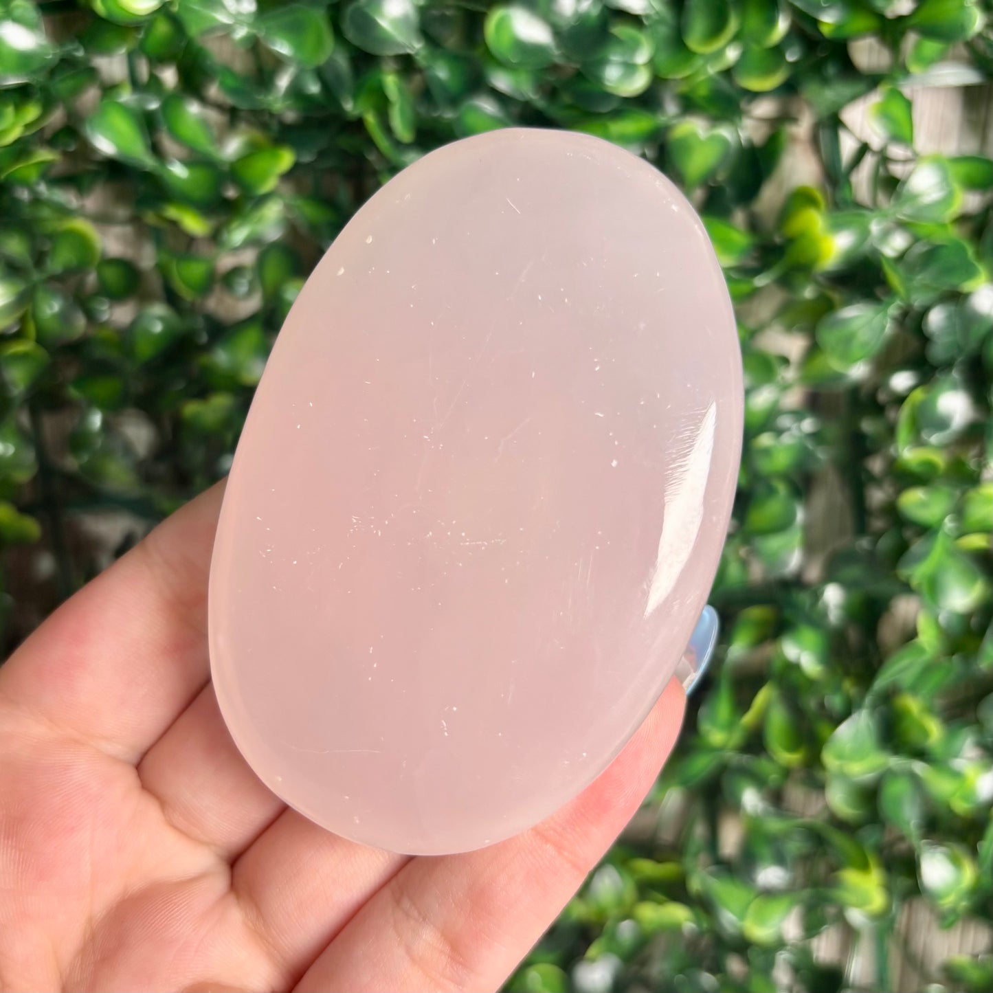 PINK MANGANO CALCITE PALMSTONES