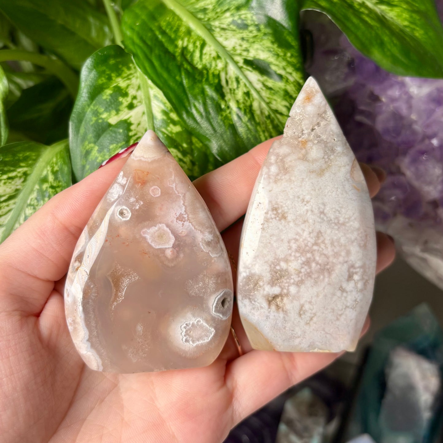 FLOWER AGATE FREEFORMS