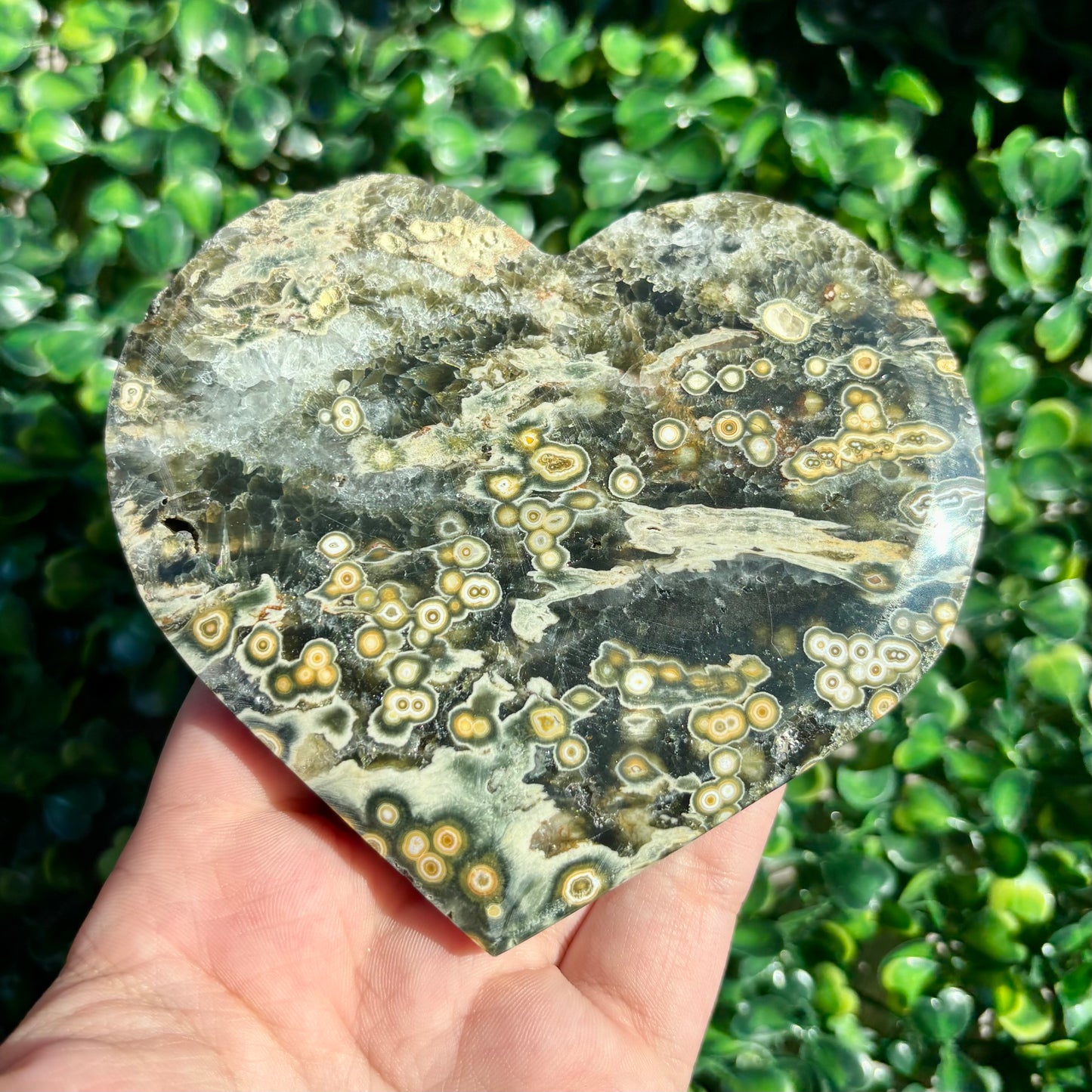 8TH VEIN OCEAN JASPER HEART