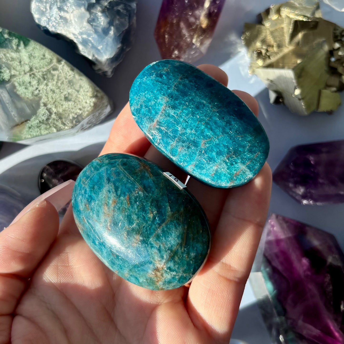 BLUE APATITE PALMSTONE