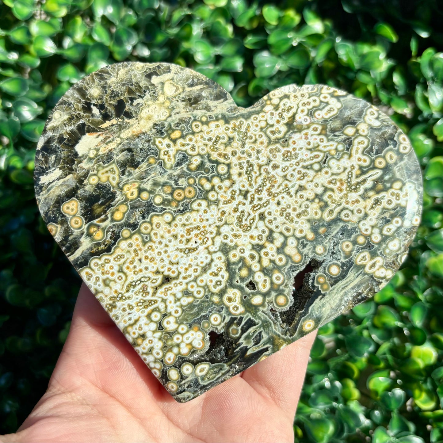 8TH VEIN OCEAN JASPER HEART
