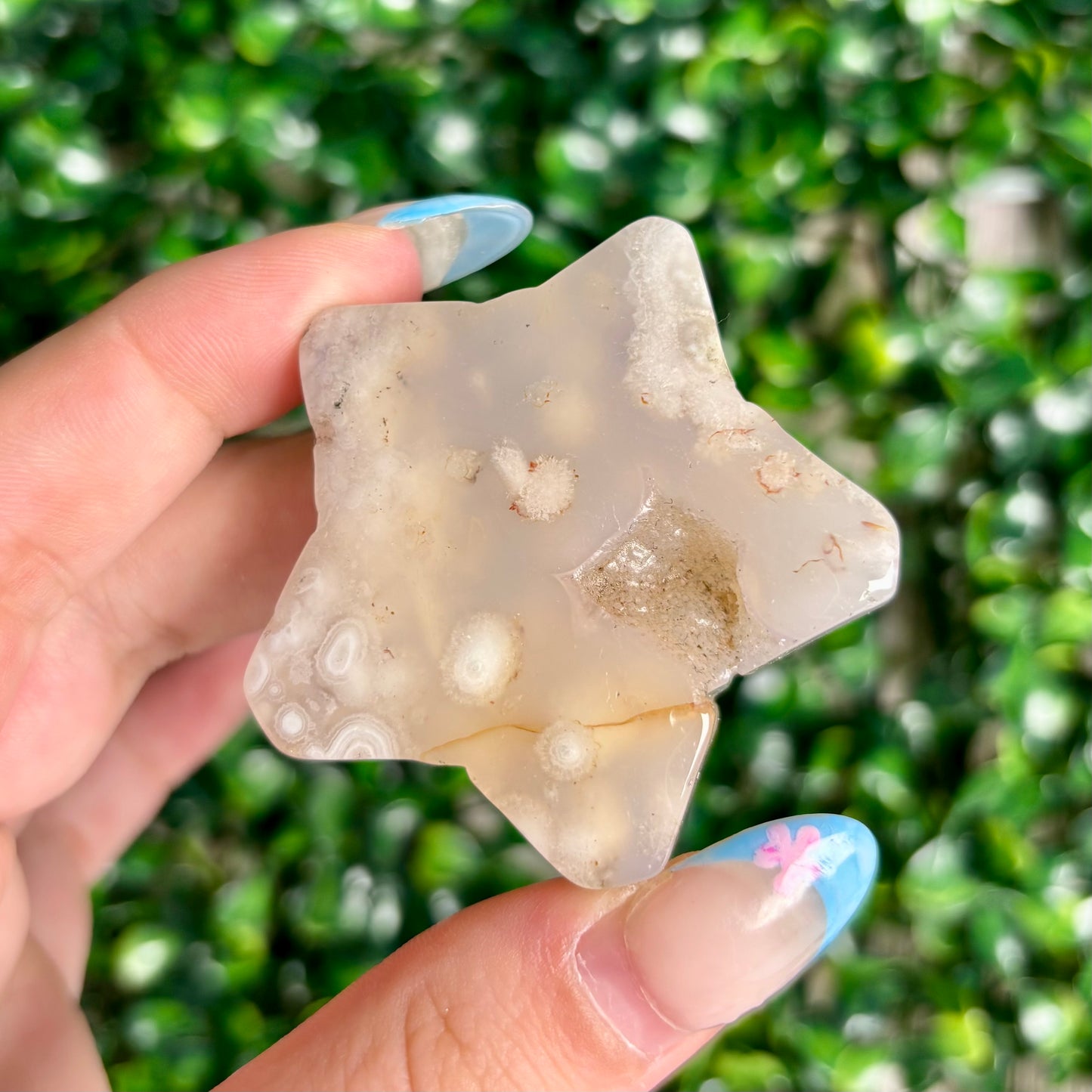 FLOWER AGATE STARS
