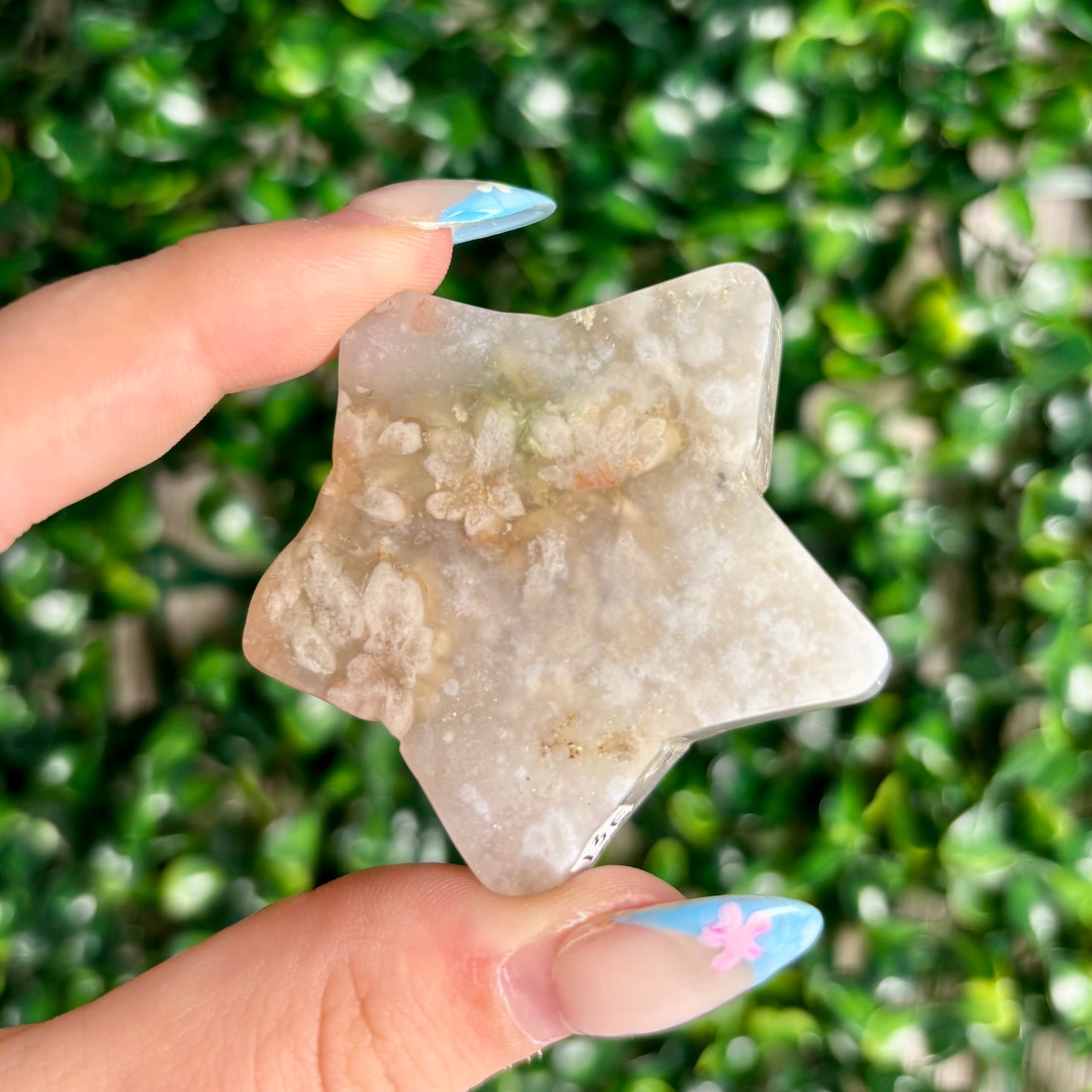 FLOWER AGATE STARS