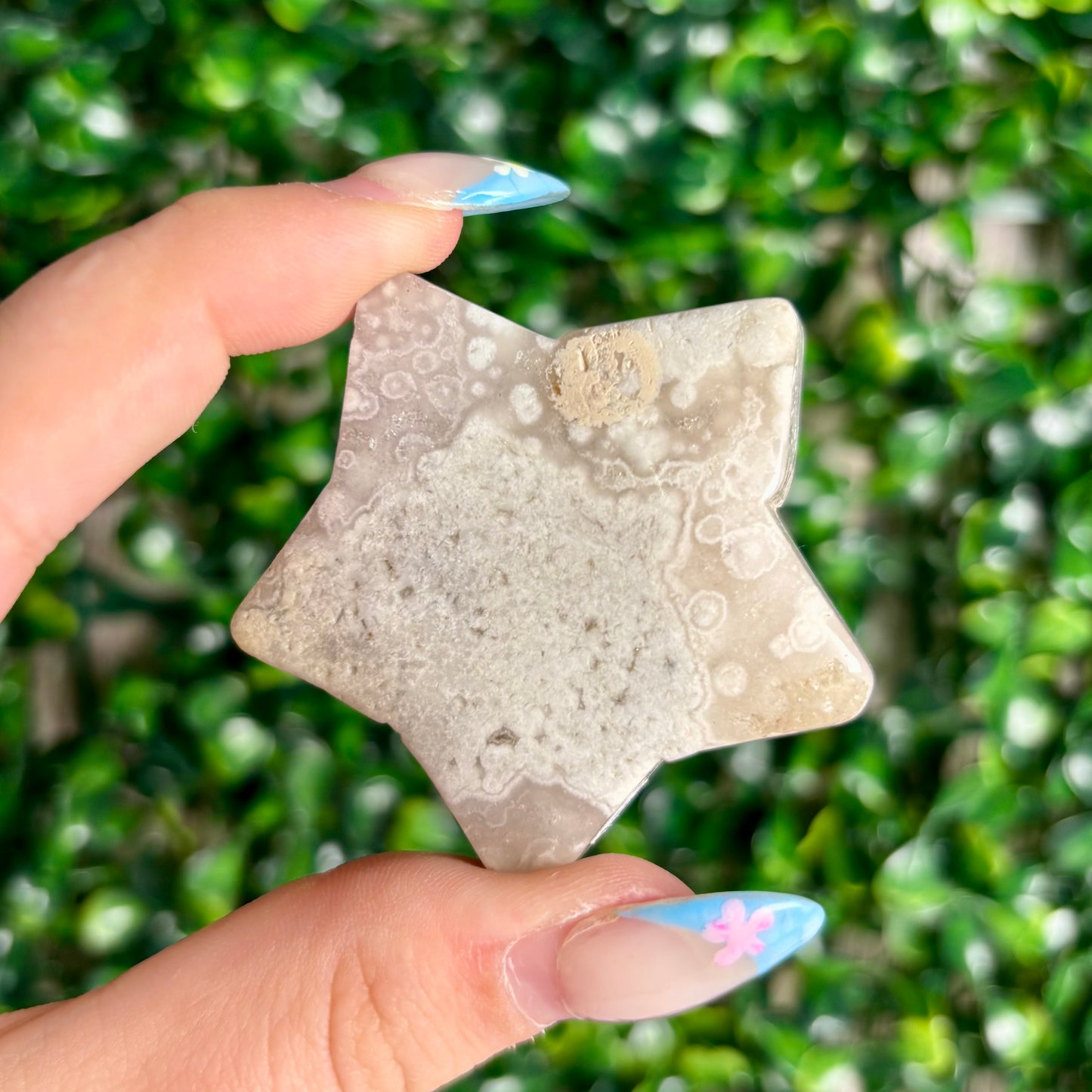 FLOWER AGATE STARS