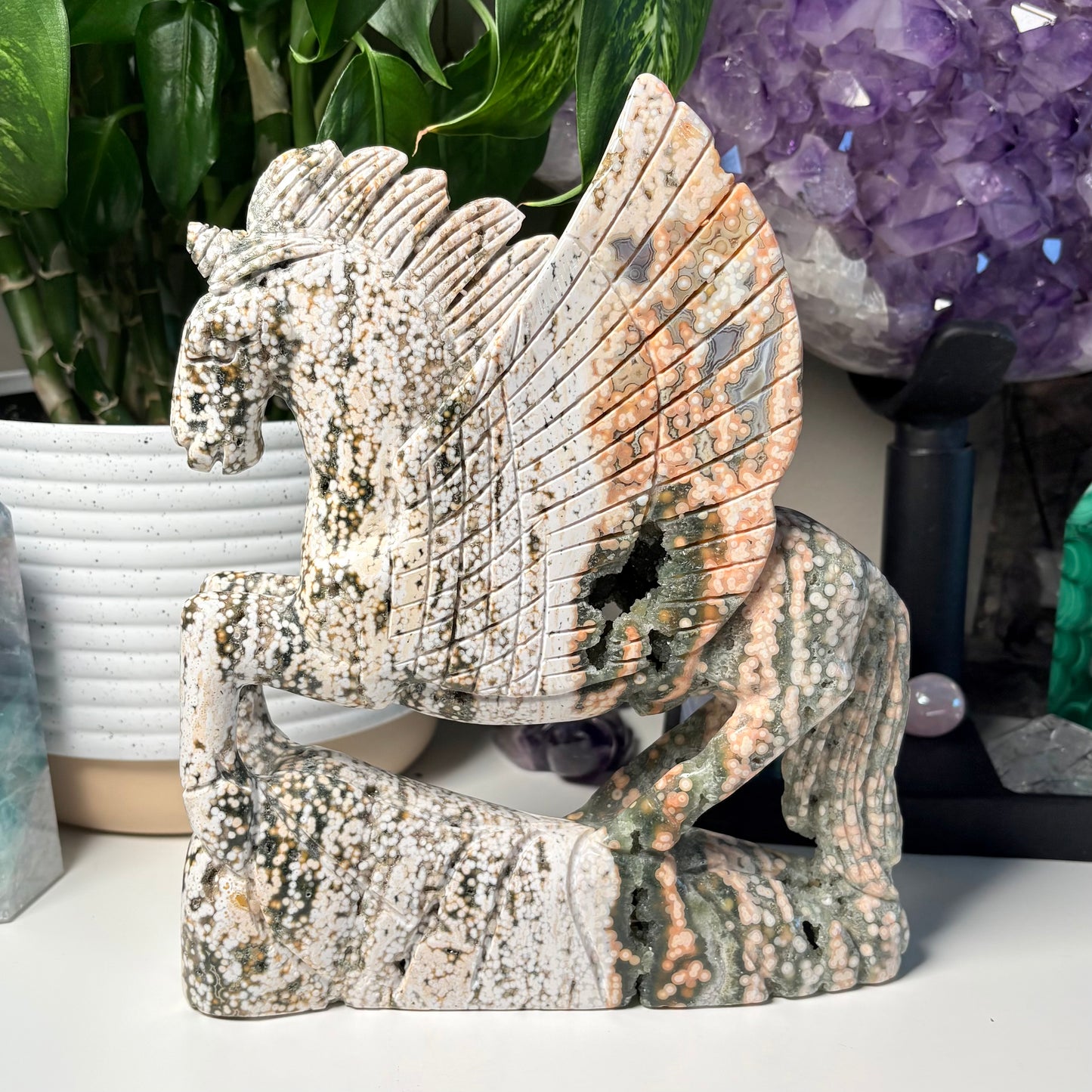 OCEAN JASPER PEGASUS - 588