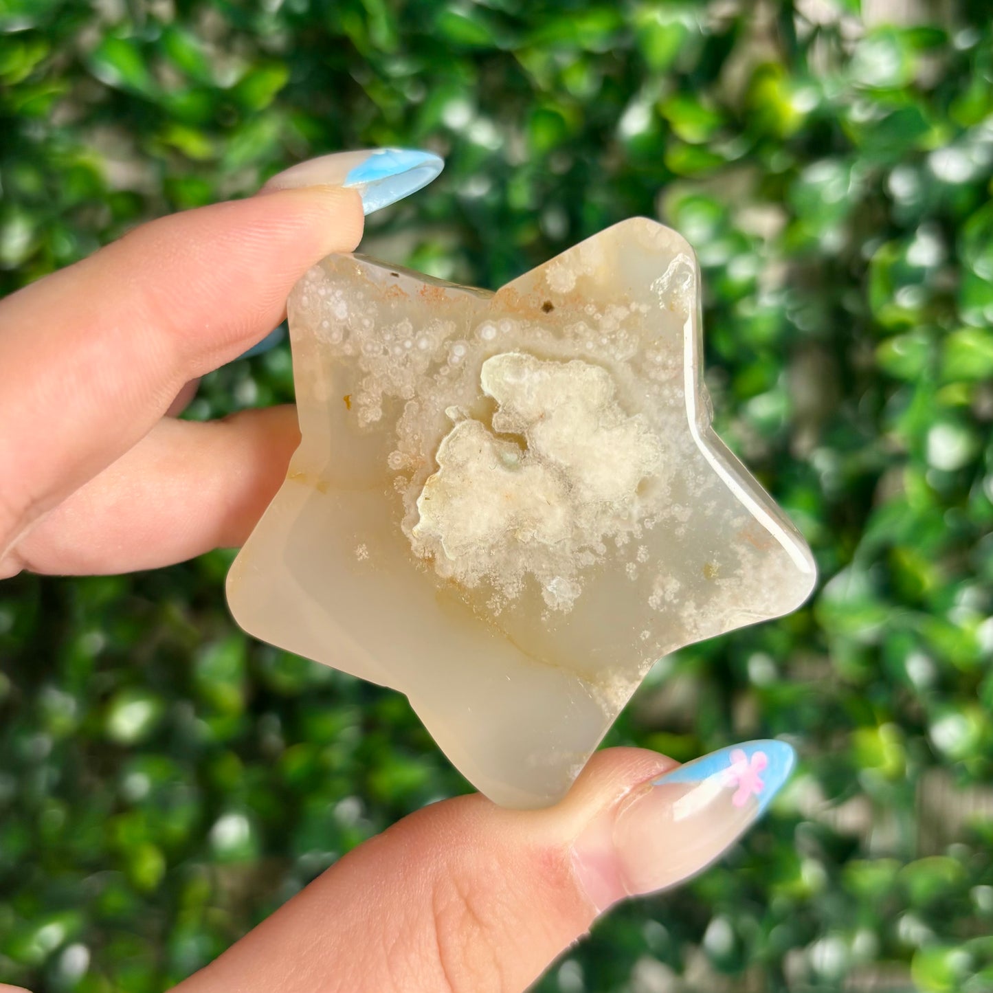 FLOWER AGATE STARS