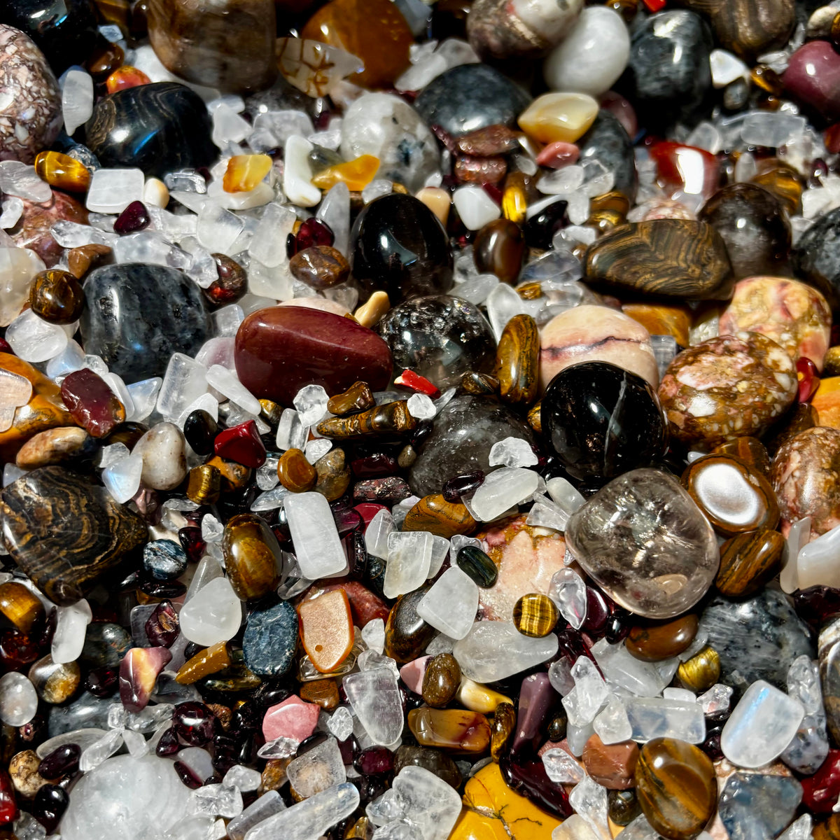 DARK ACADAMIA FREEBIE MIX