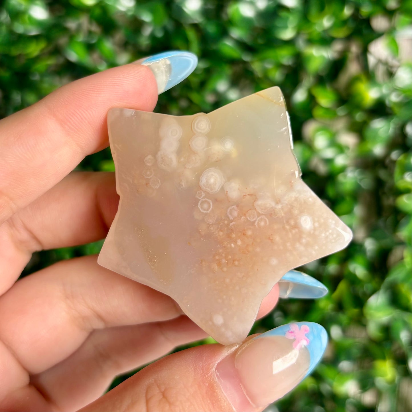 FLOWER AGATE STARS