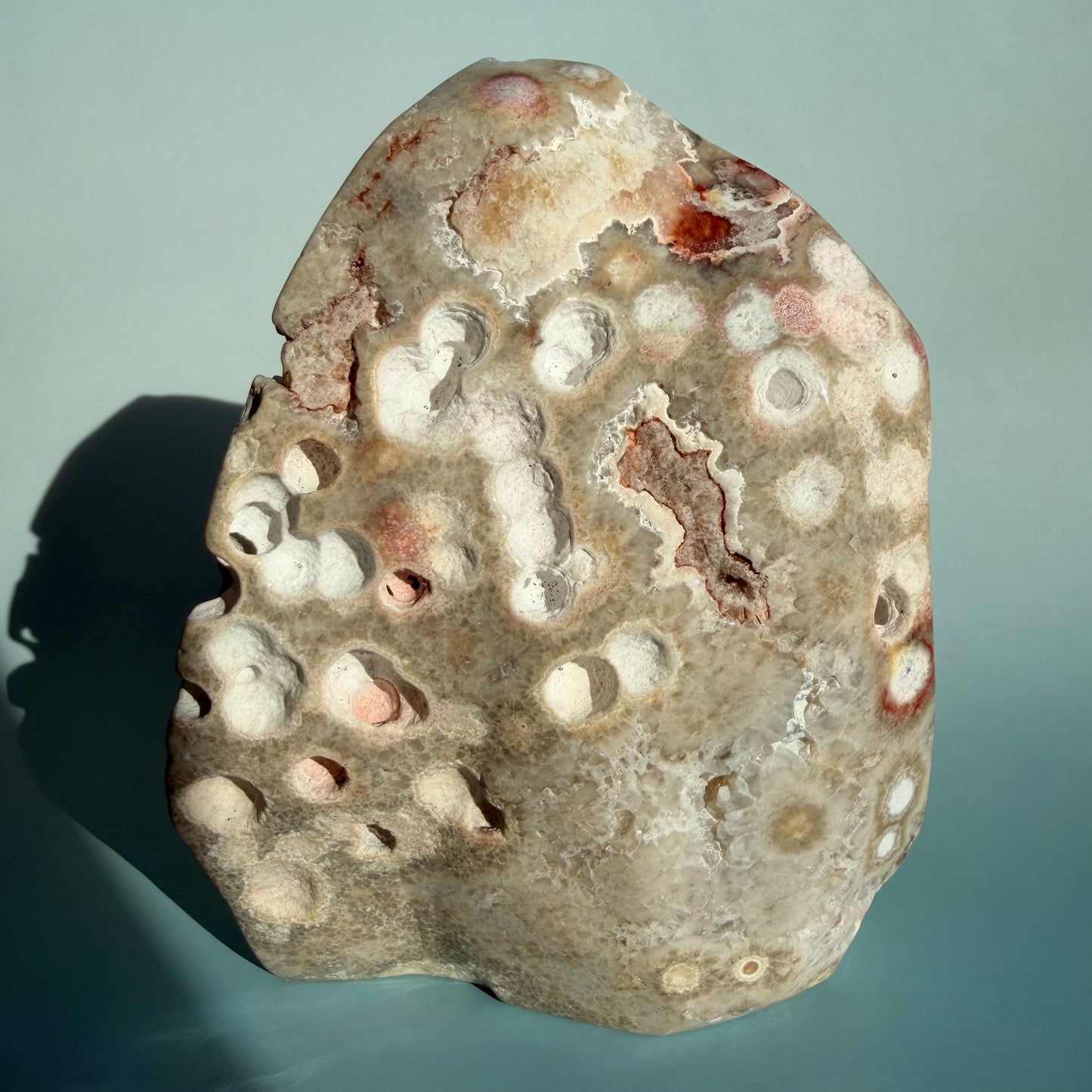 8TH VEIN OCEAN JASPER FREEFORM - 368