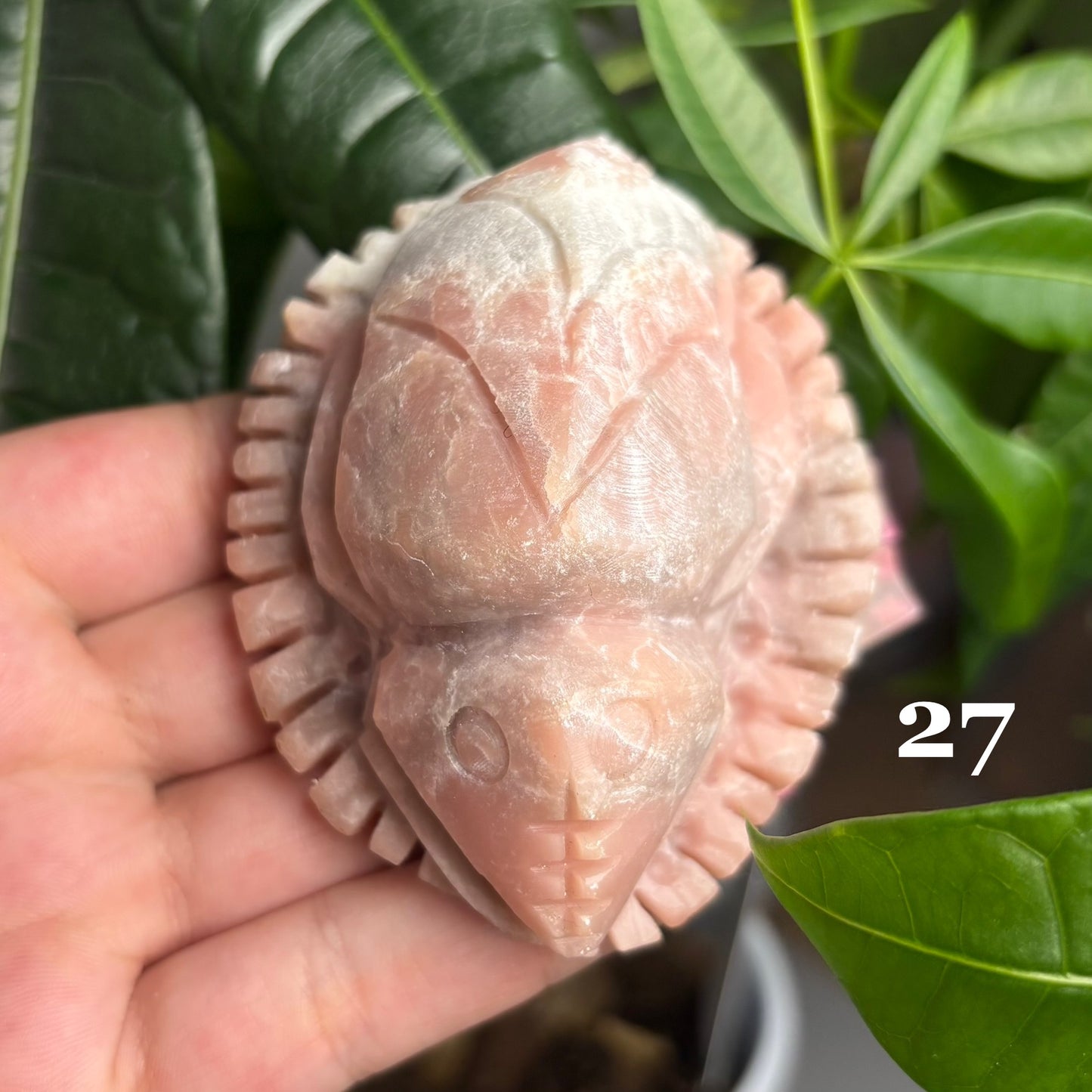 PINK OPAL SEA FRIENDS