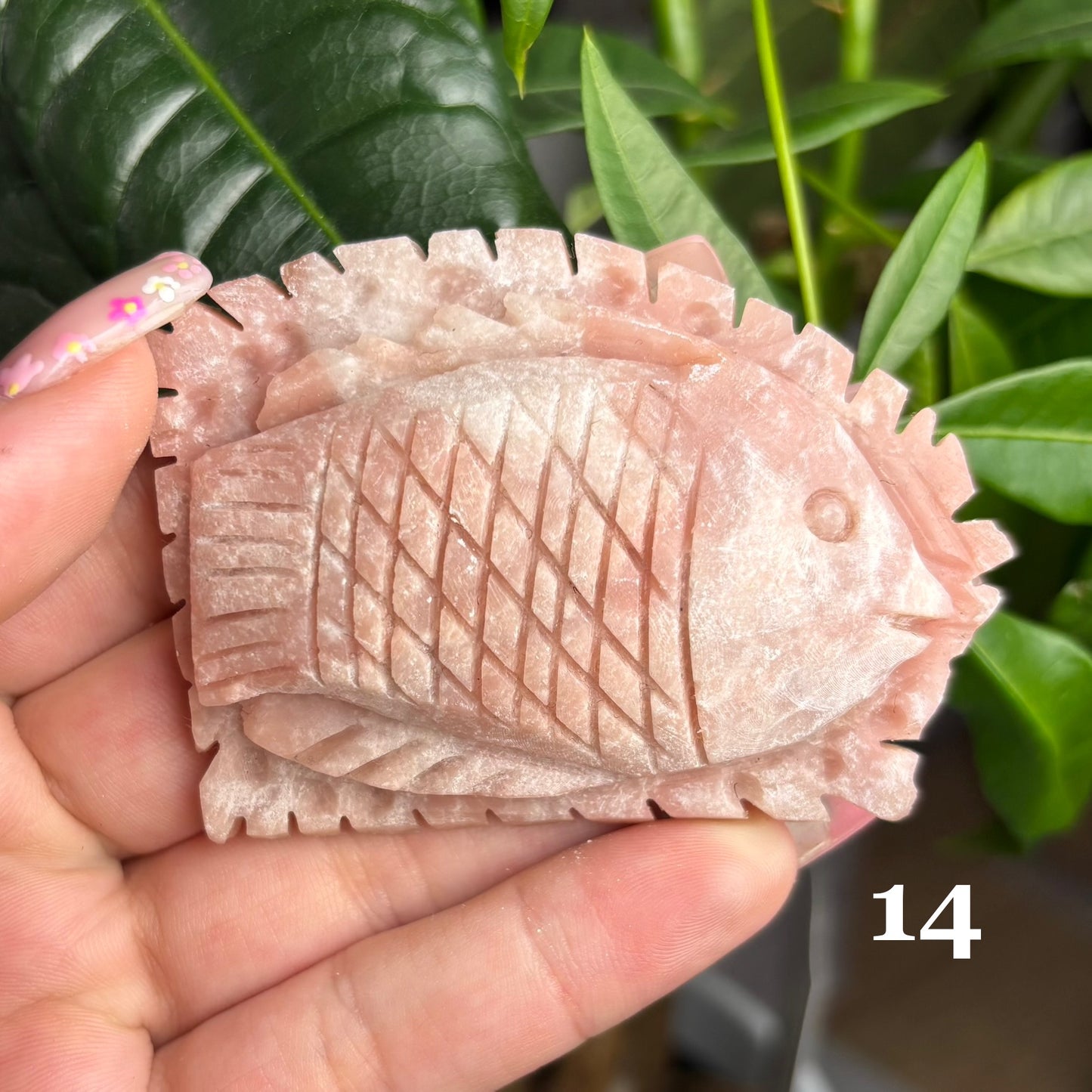 PINK OPAL SEA FRIENDS