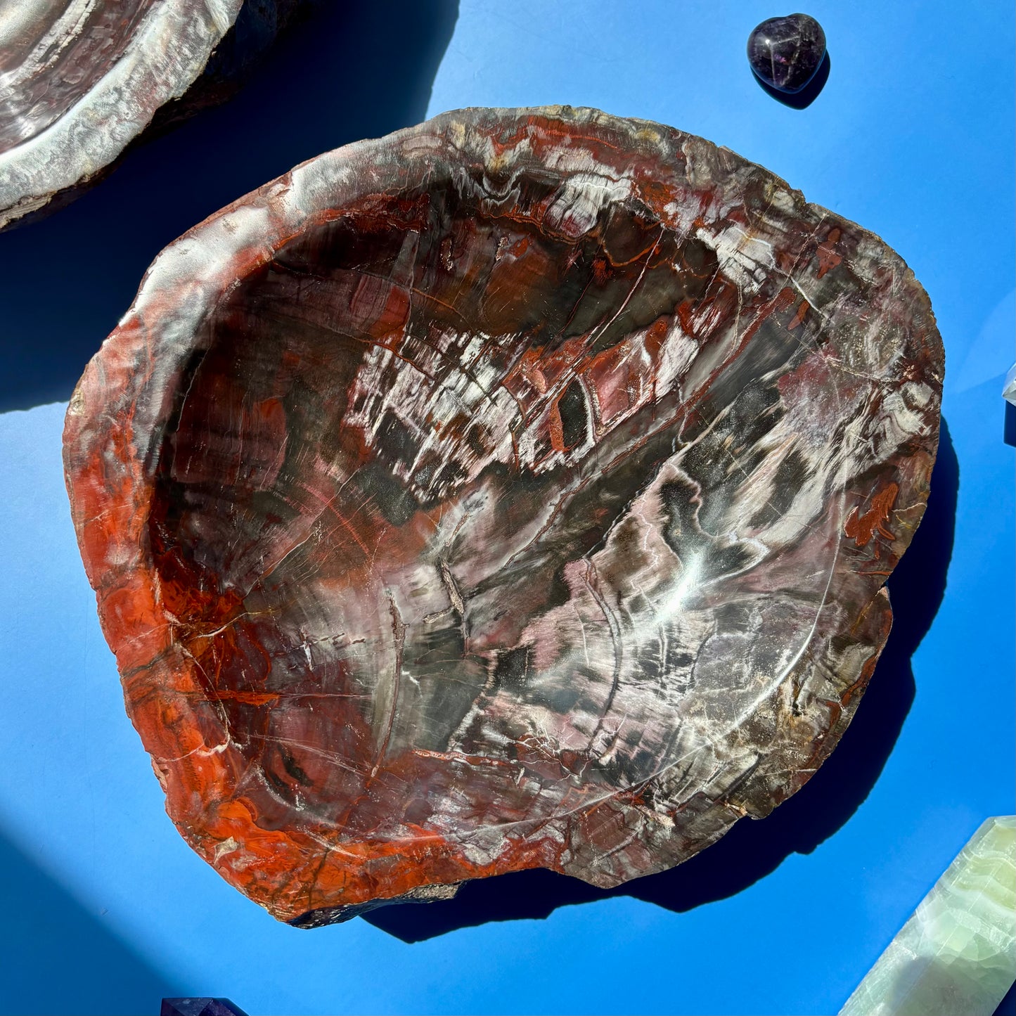 PETRIFIED WOOD BOWLS